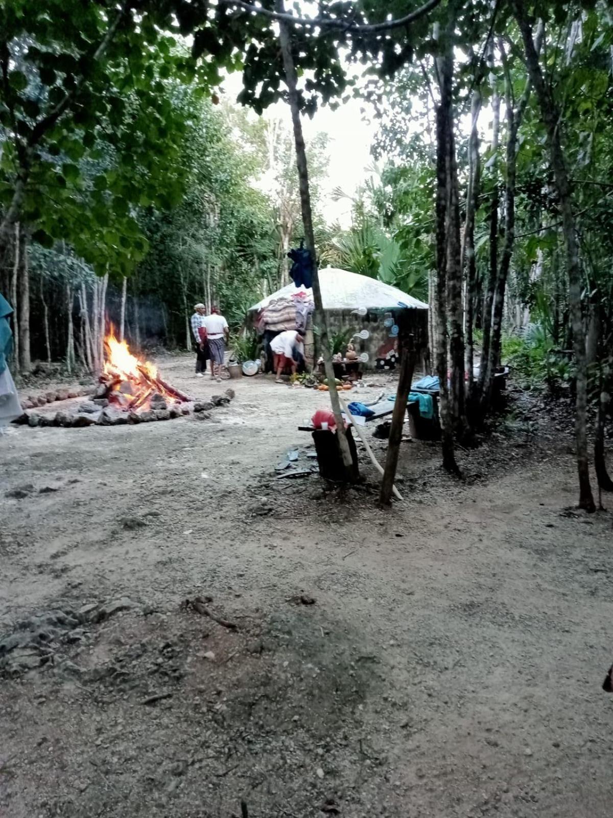 Photo 46