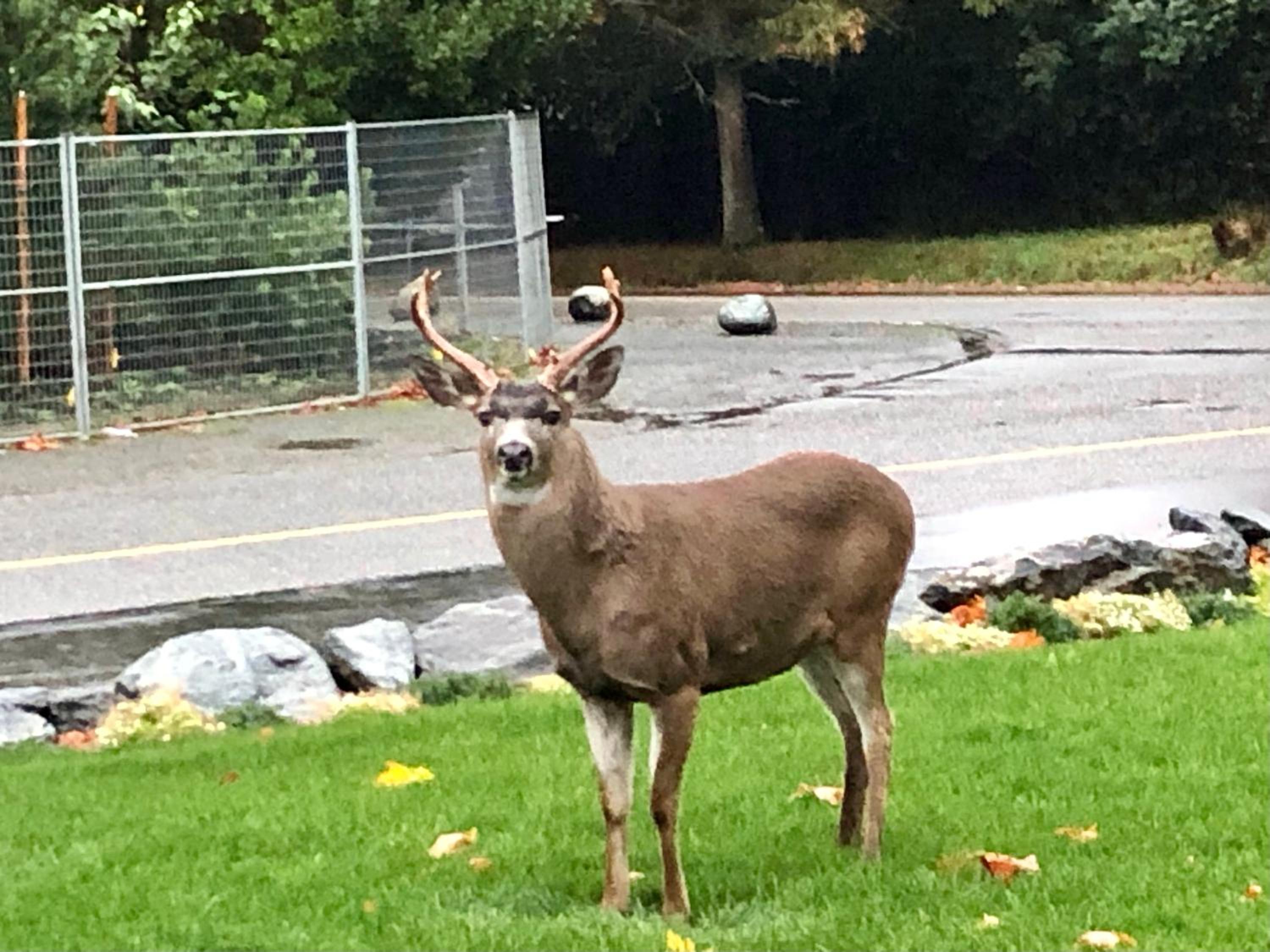 Sooke Vacations - Seagull Studio Vacation Suite - Property Image 2