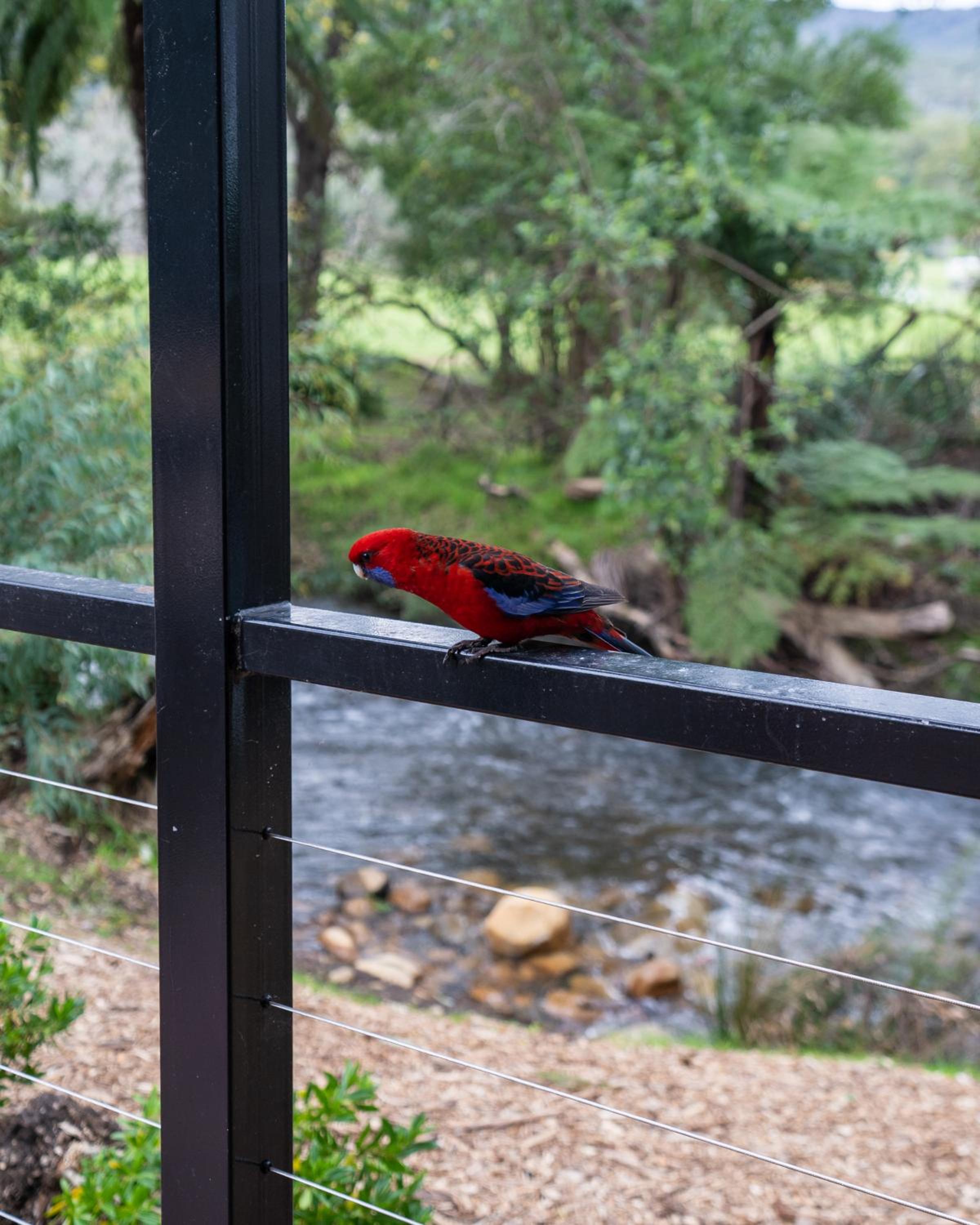 BIG4 Yarra Valley Park Lane Holiday Park