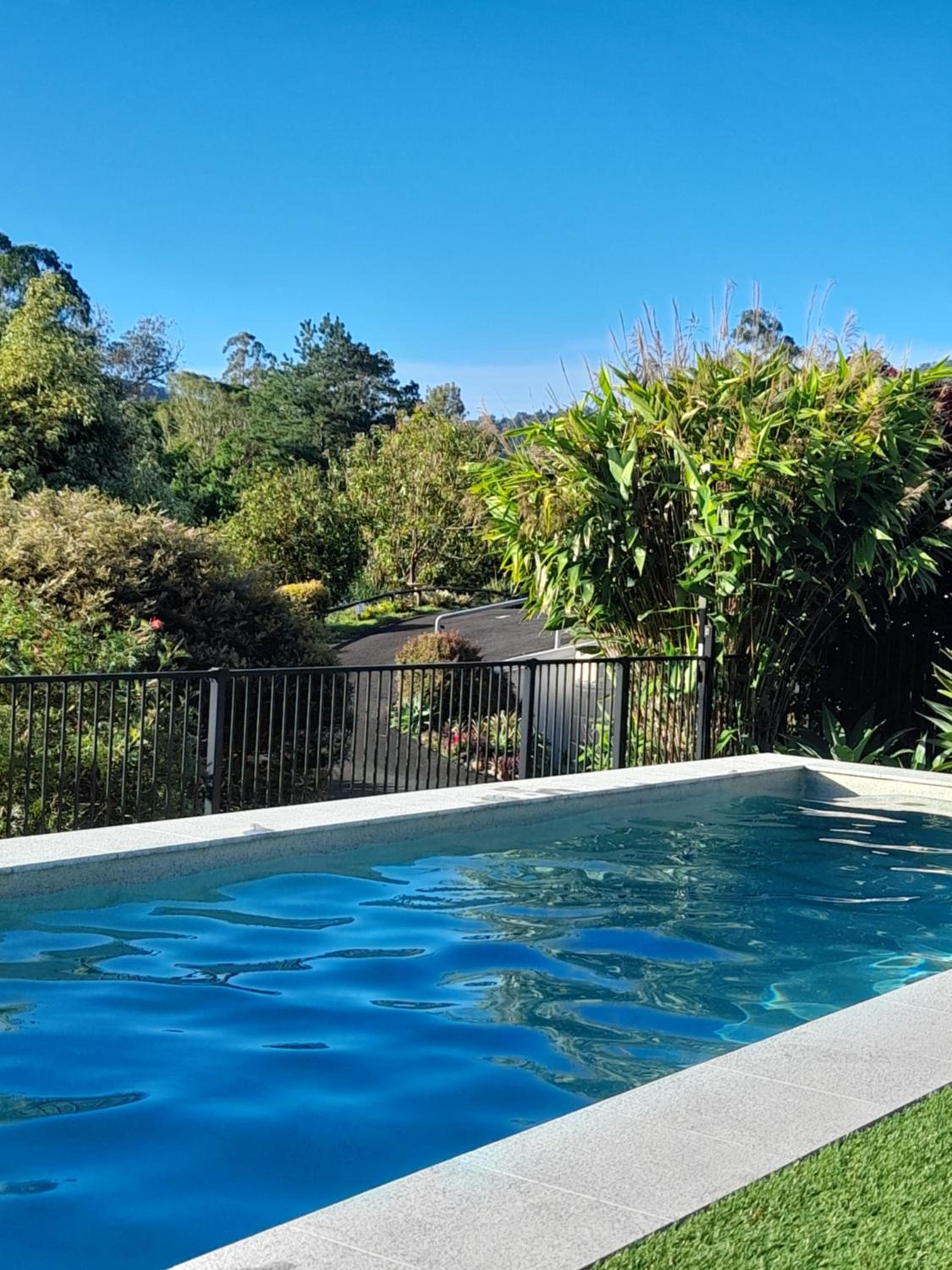 A view of Mount Warning