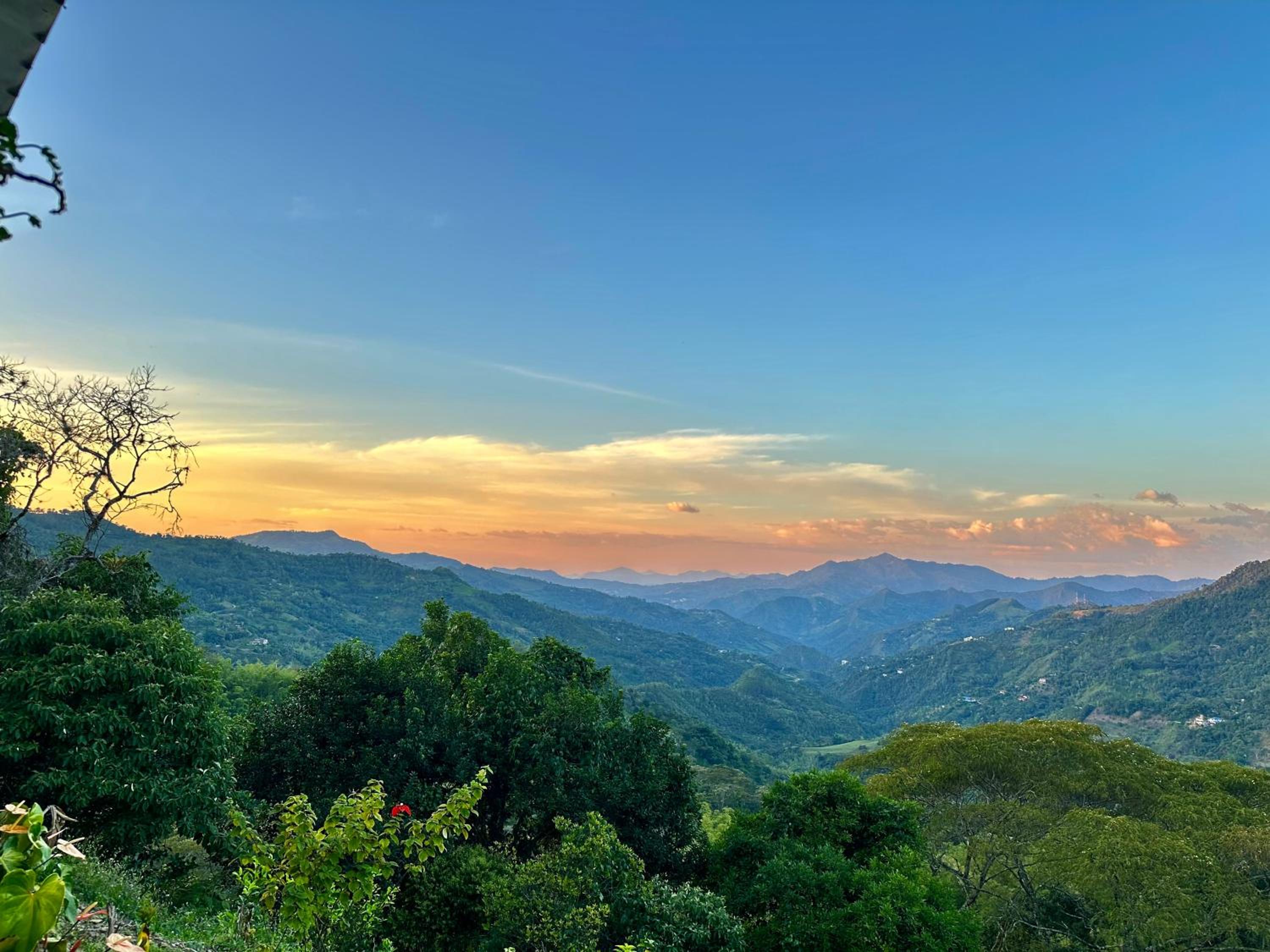 Bellavista La Vega