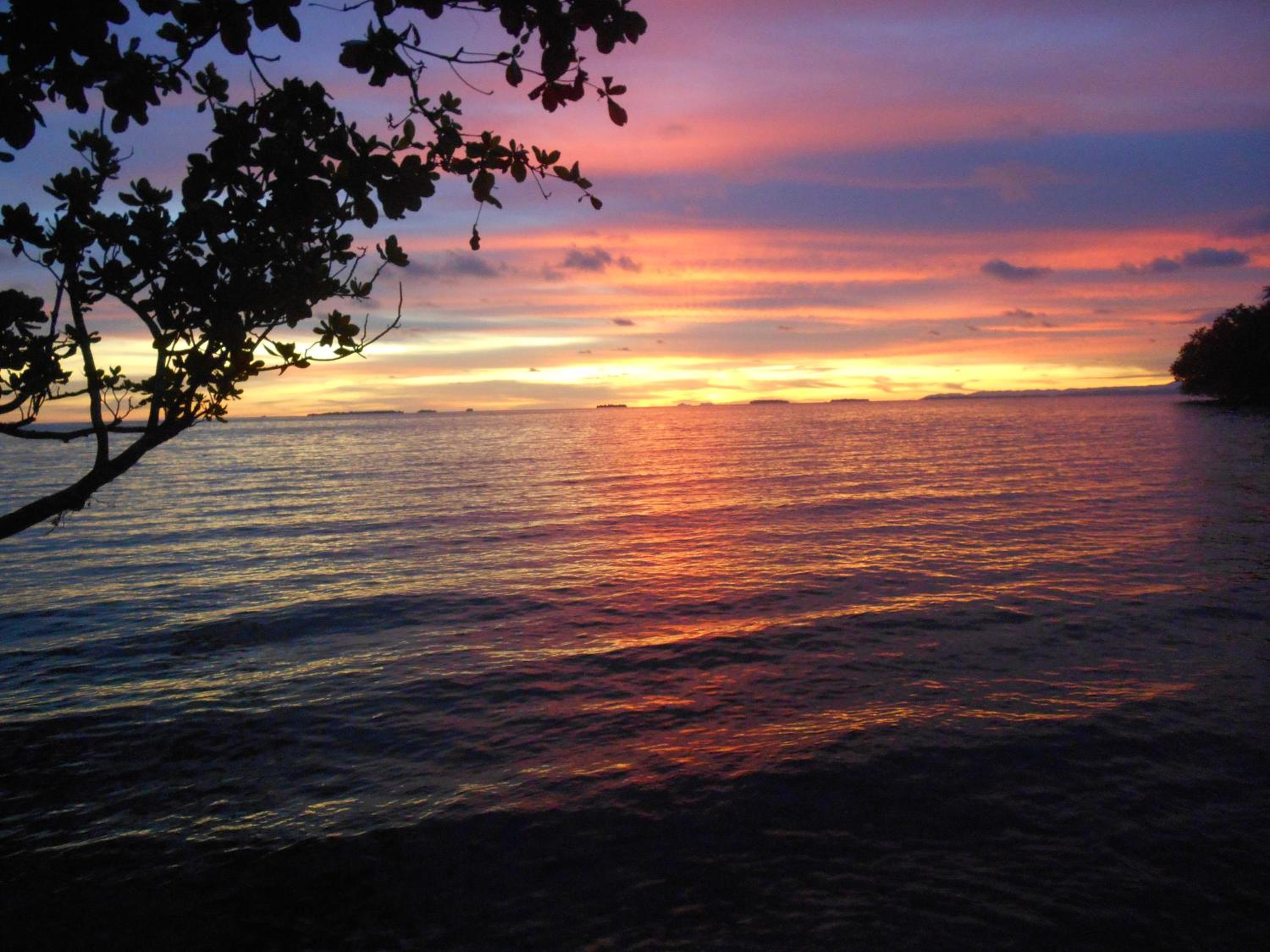 Leleana Eco Resort on Kolombangara view 5