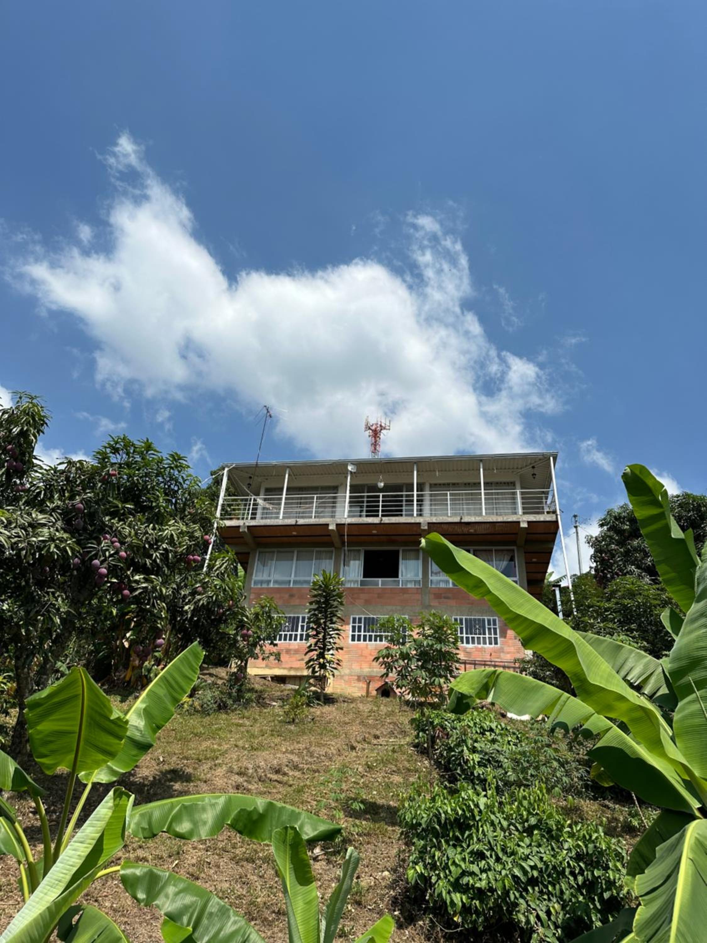 Finca las marias