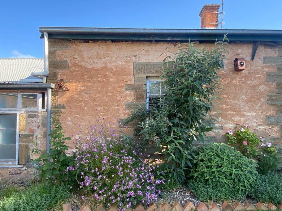 Auburn Garden Suites