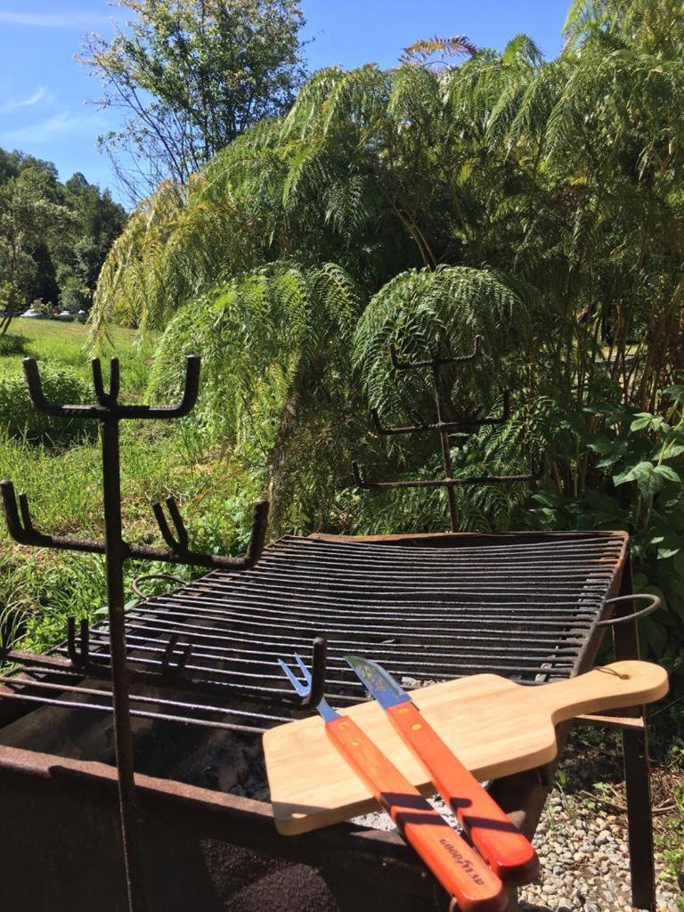 Cabaña en las afueras de Panguipulli