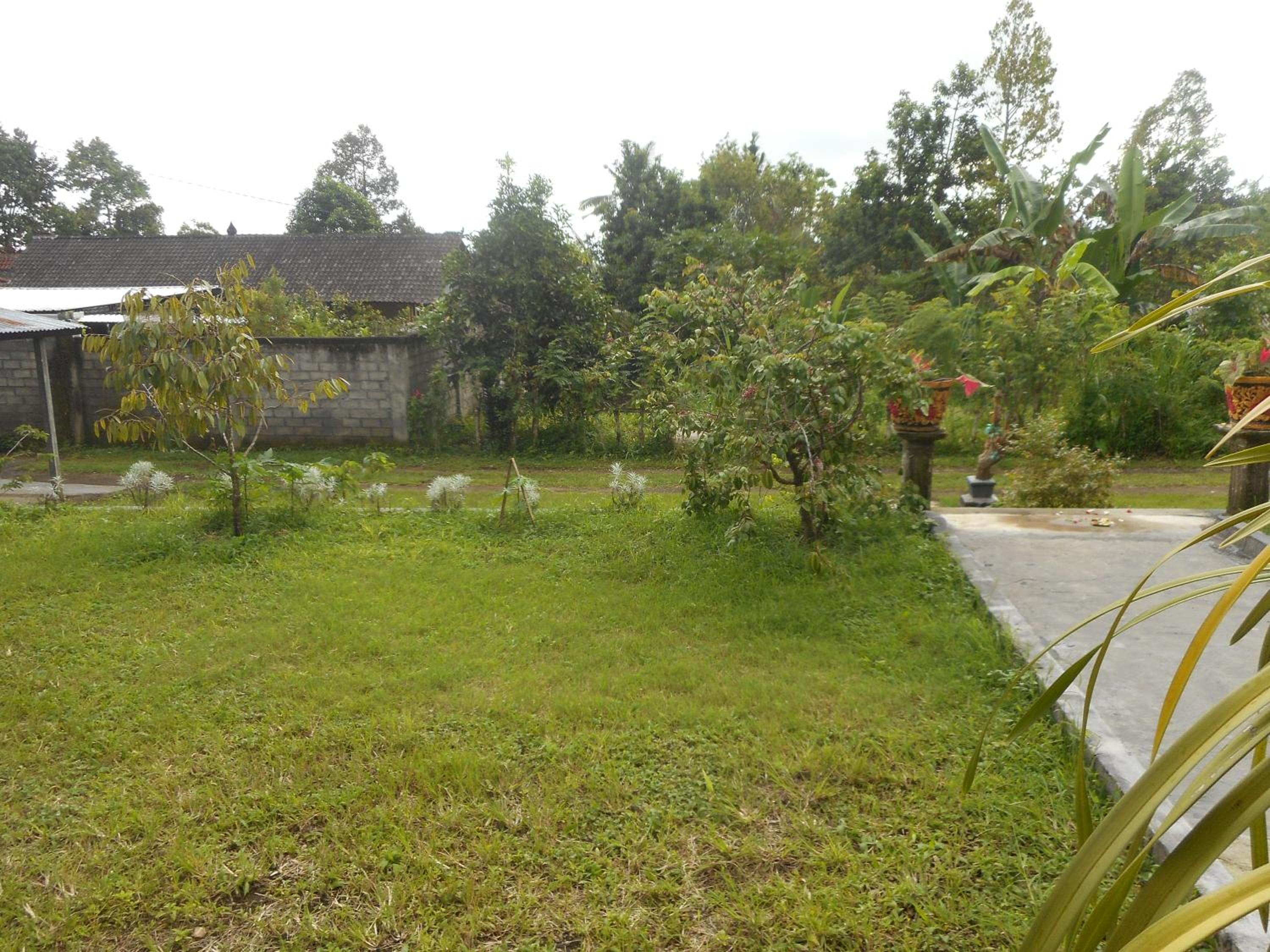 Photo 29