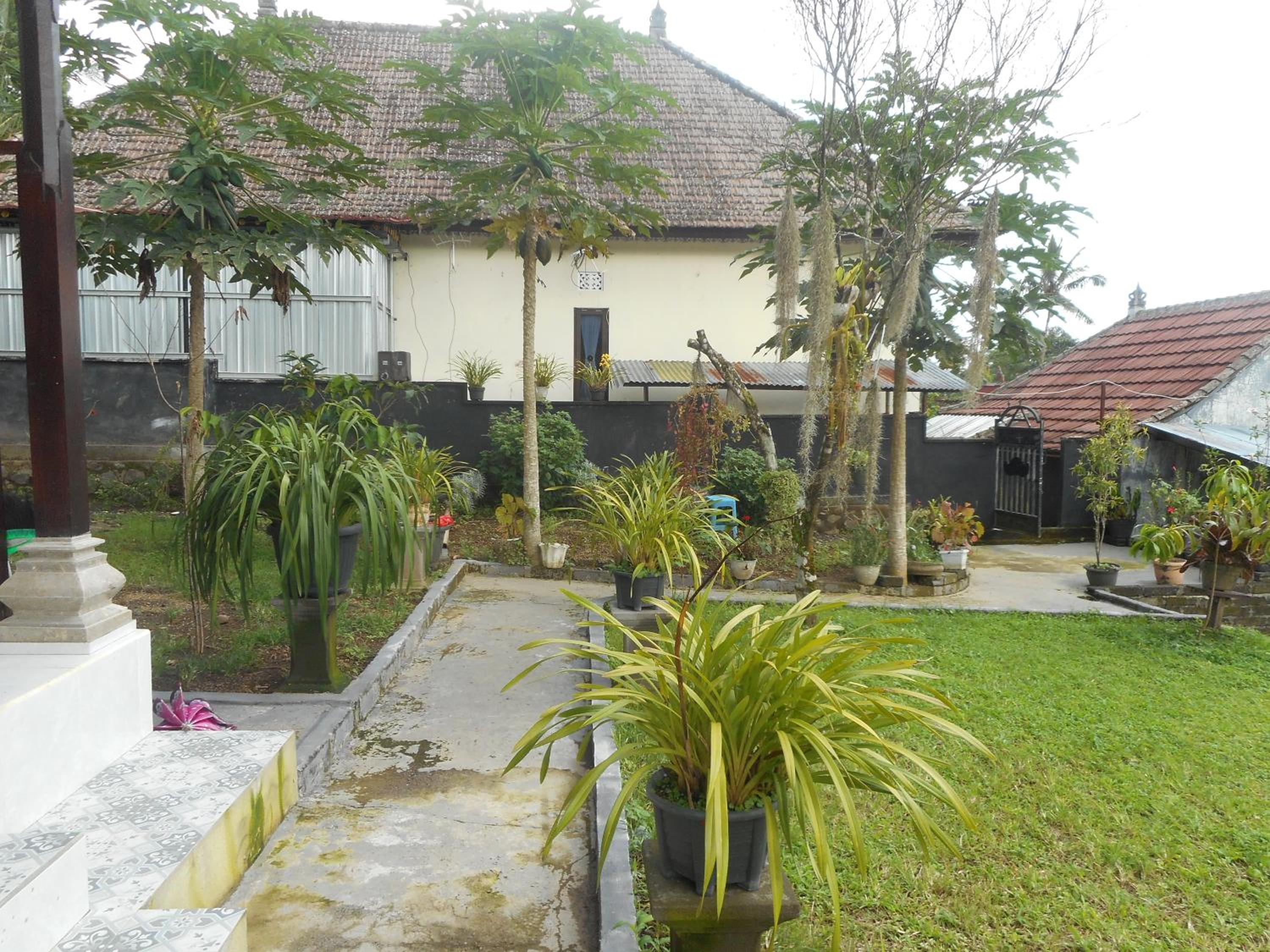 Photo 20