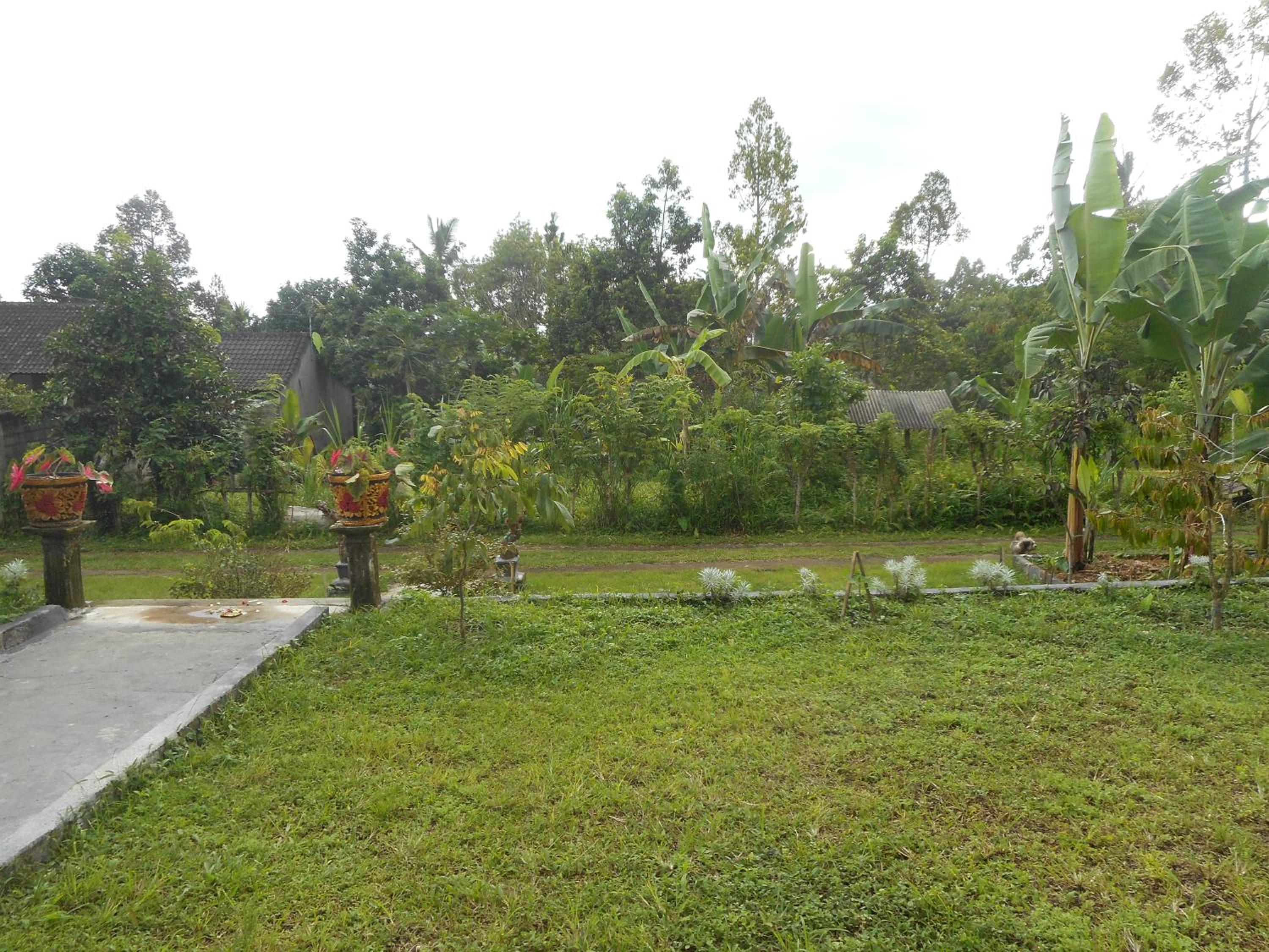 Photo 37
