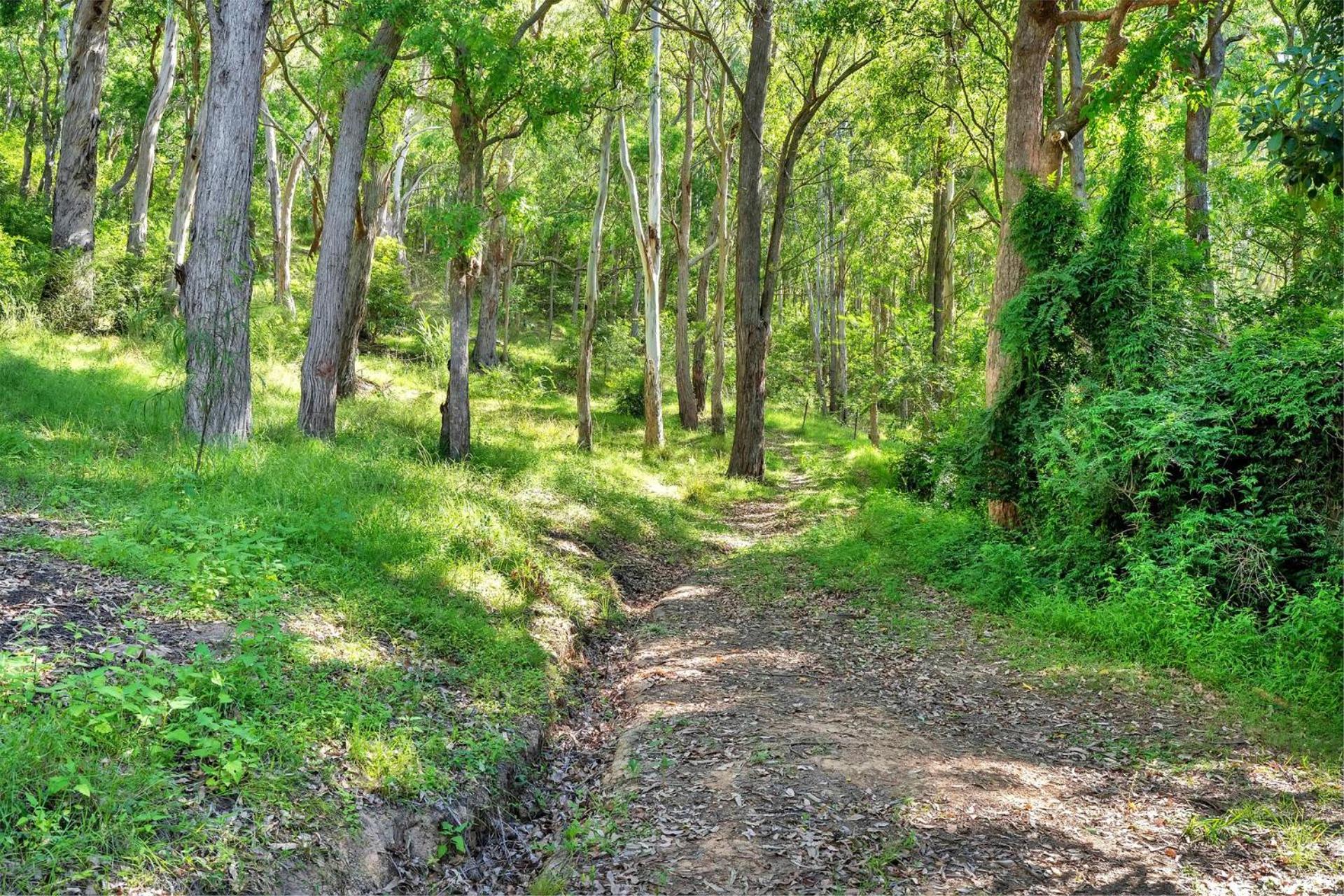 Kooyong, Kangaroo Valley