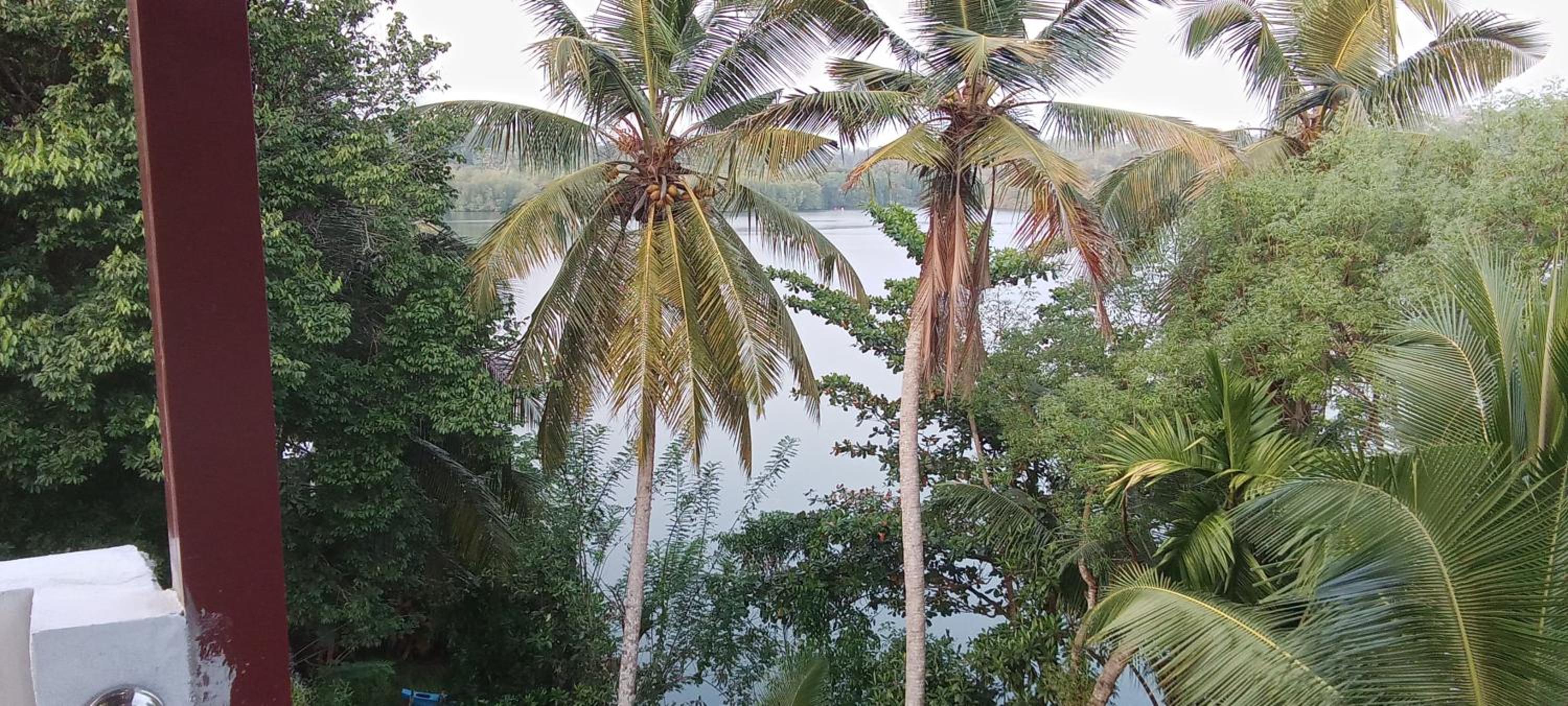 The Green Lagoon Villa view 3