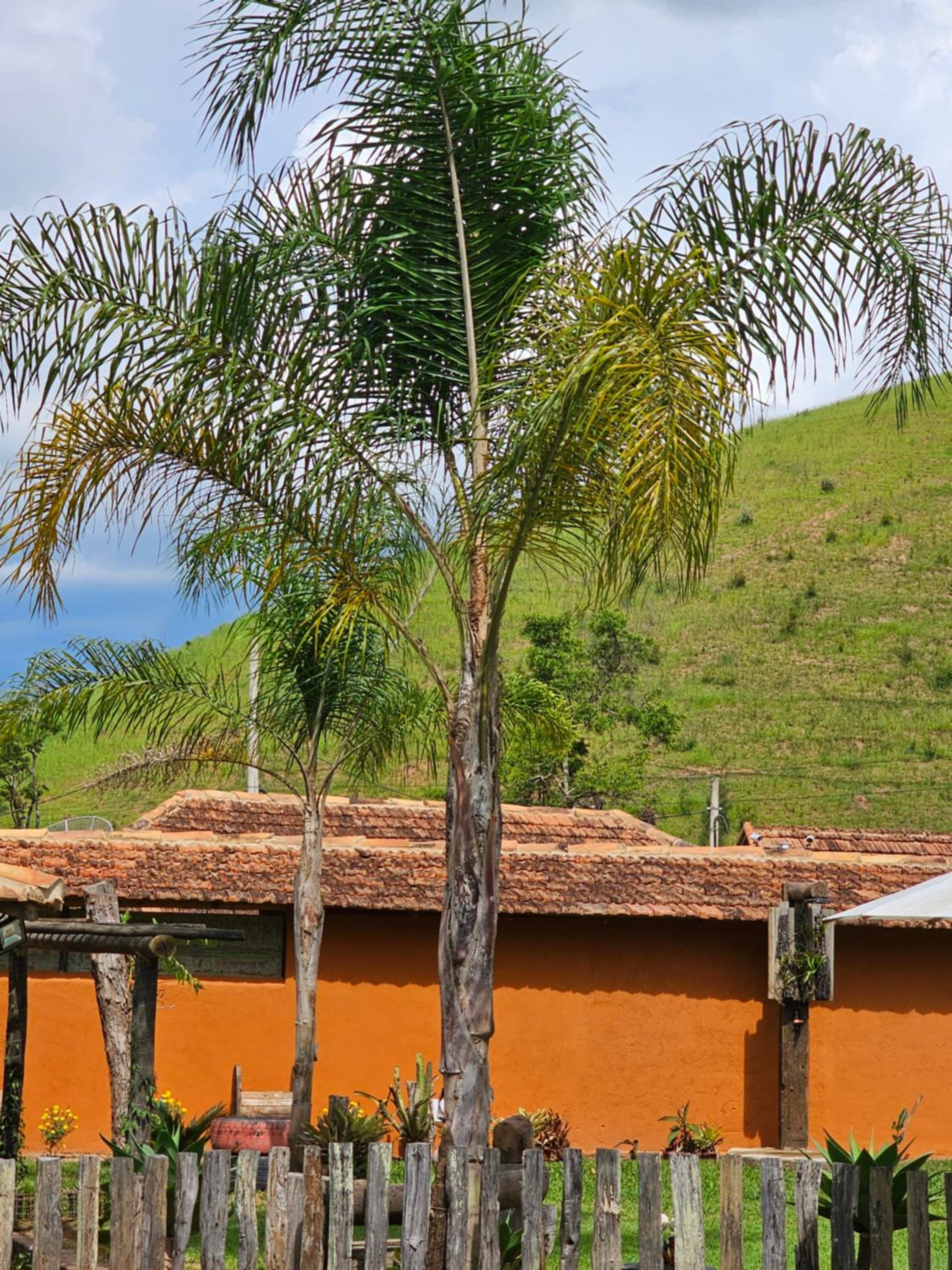 Sitio Reis Membeca