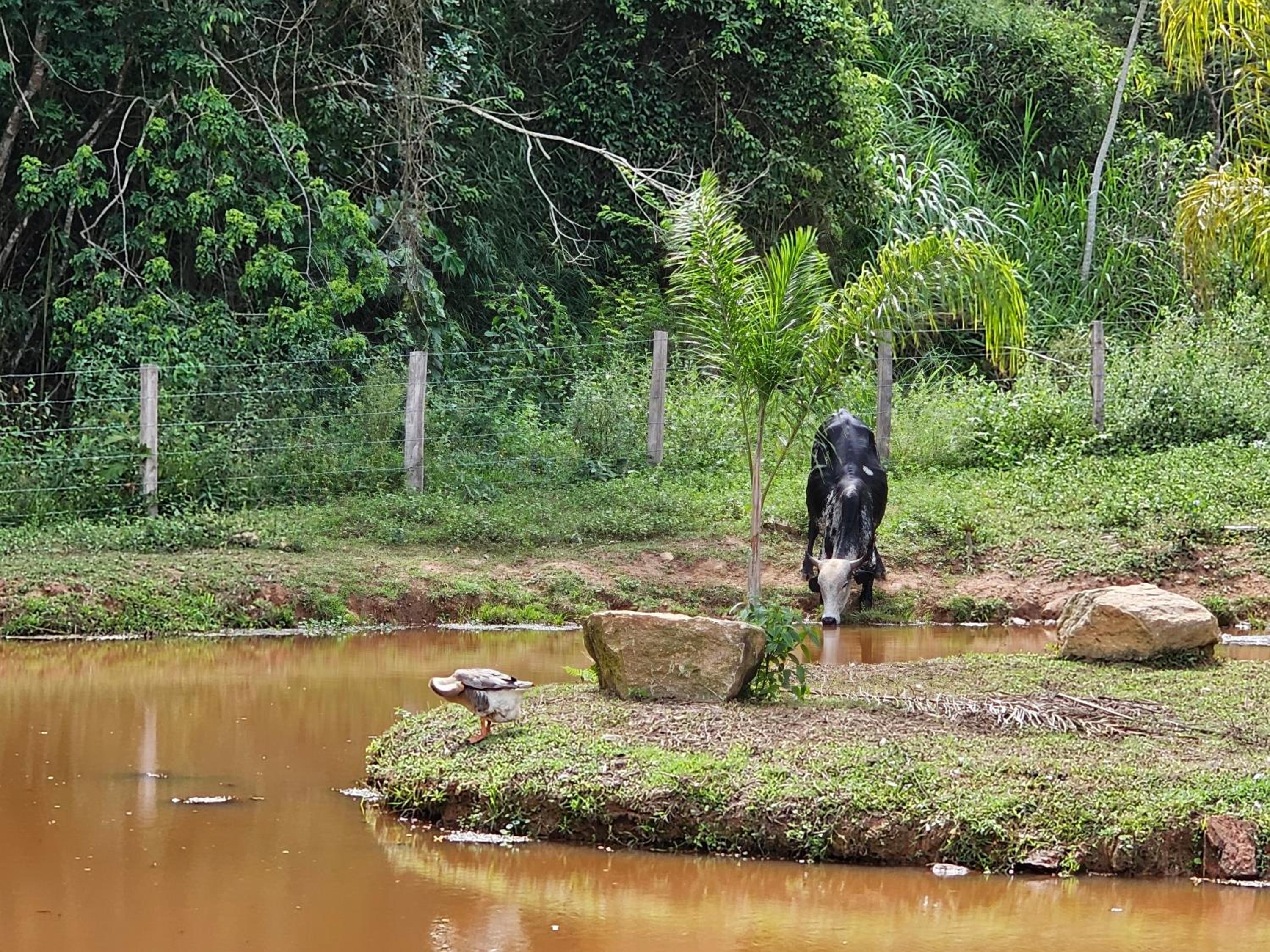 Sitio Reis Membeca