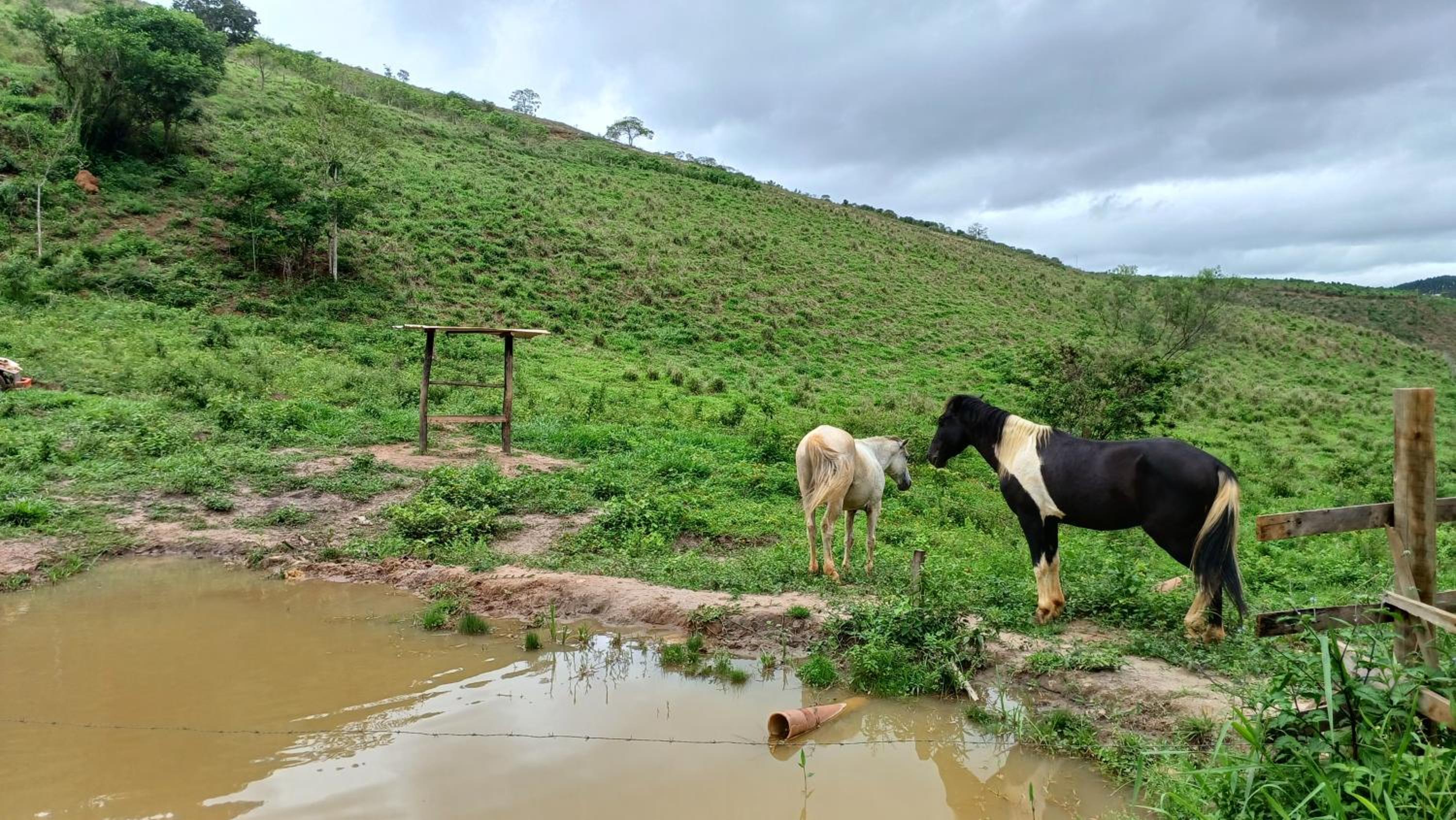 Sitio Reis Membeca