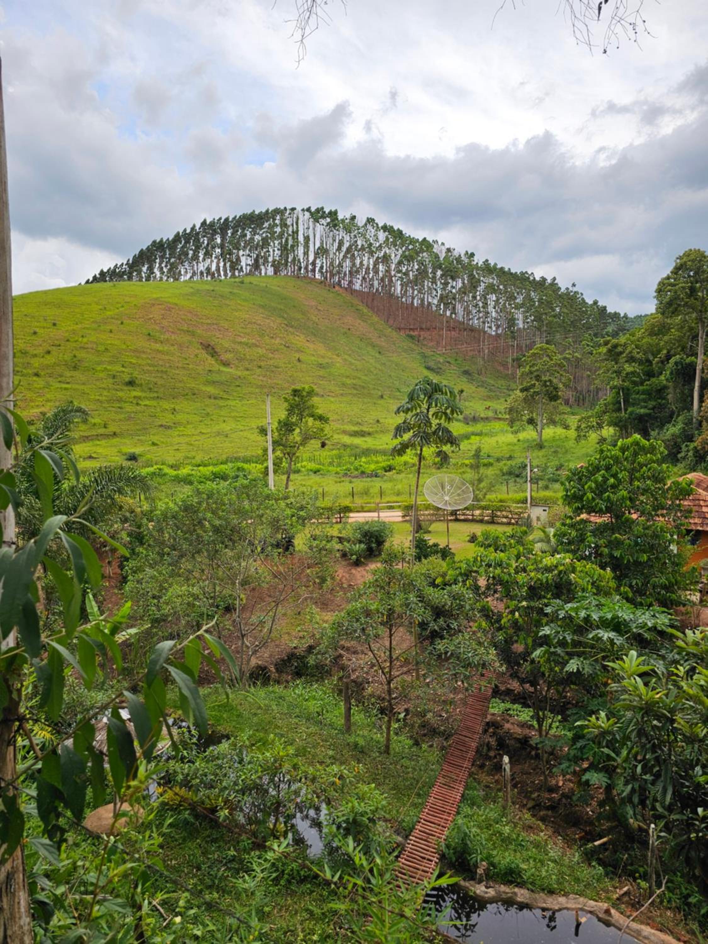 Sitio Reis Membeca