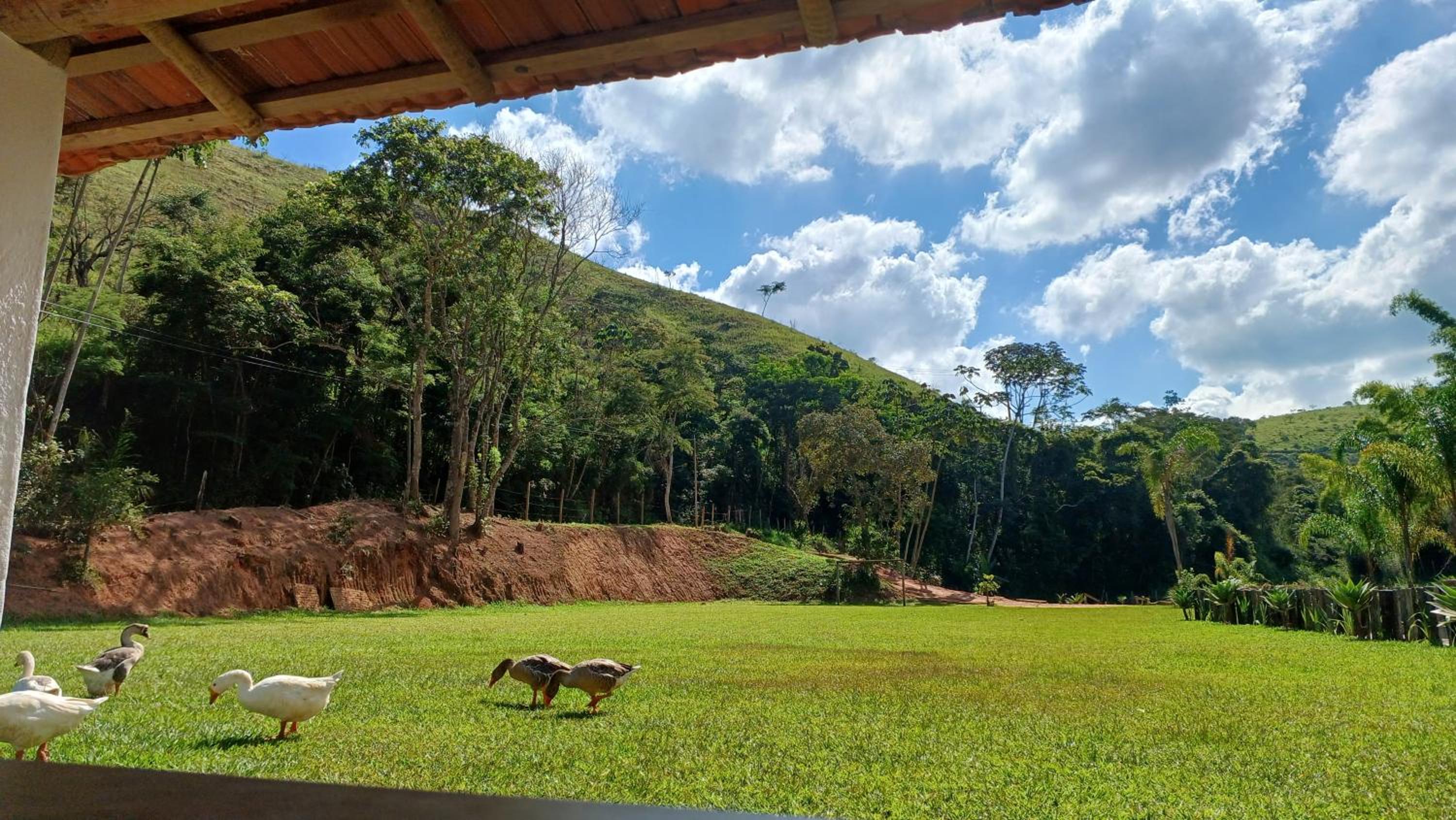 Sitio Reis Membeca
