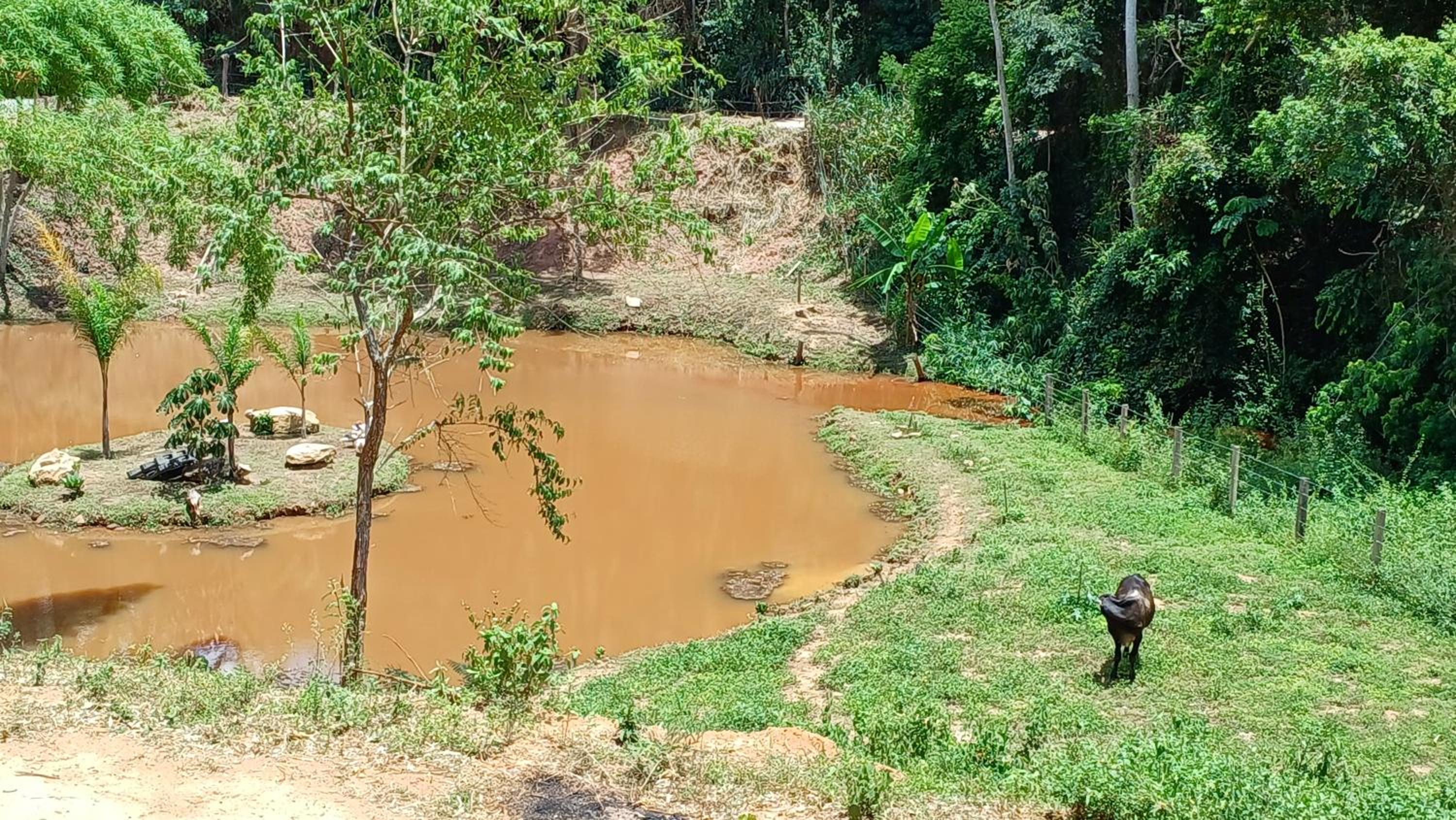 Sitio Reis Membeca
