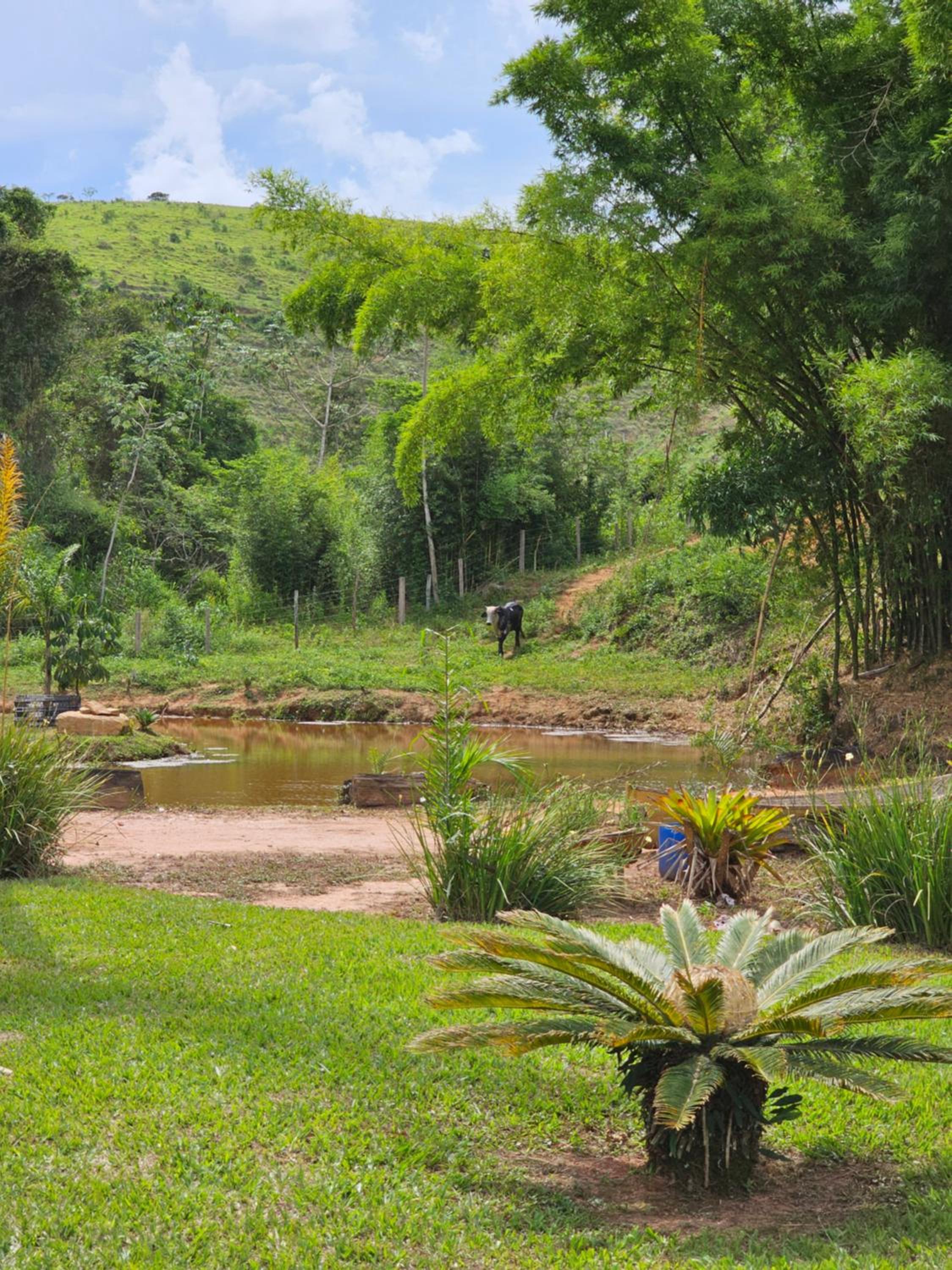 Sitio Reis Membeca
