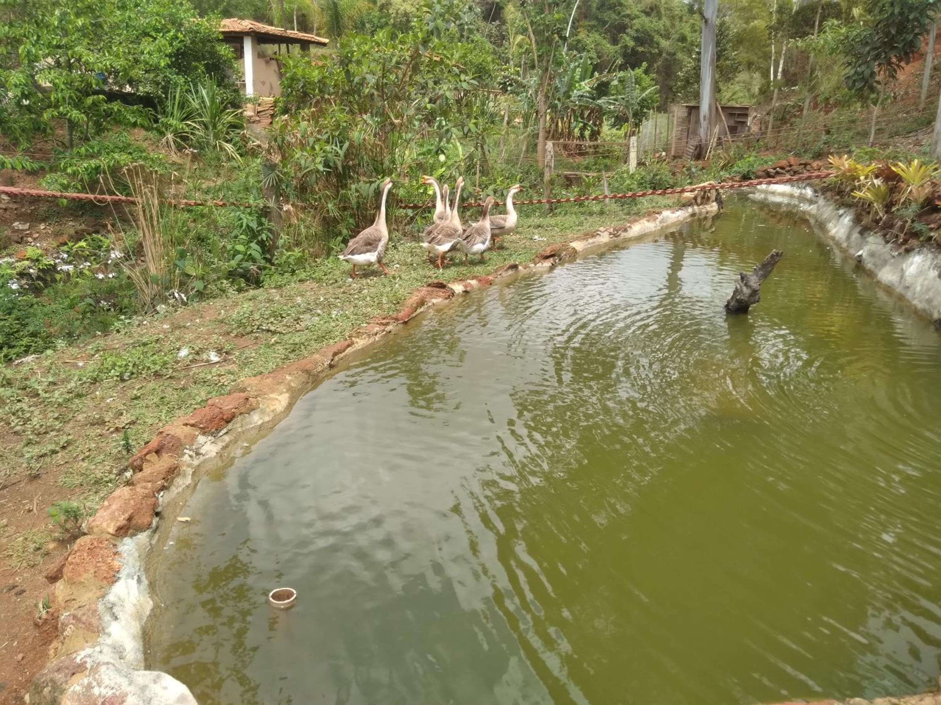 Sitio Reis Membeca