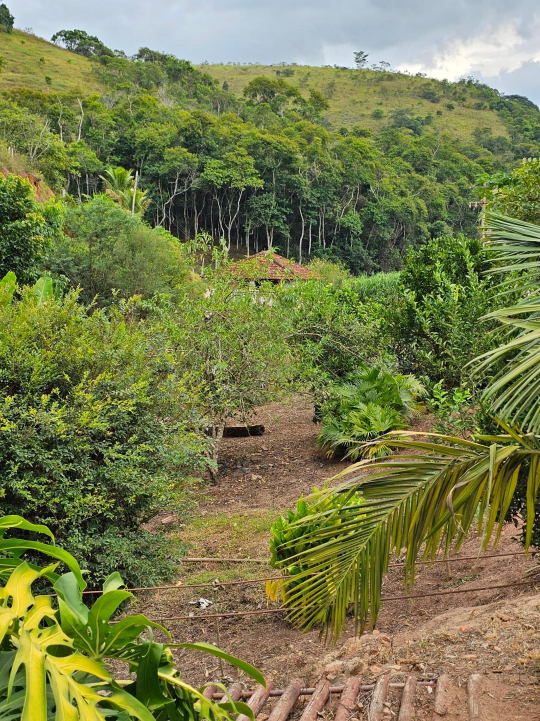 Sitio Reis Membeca