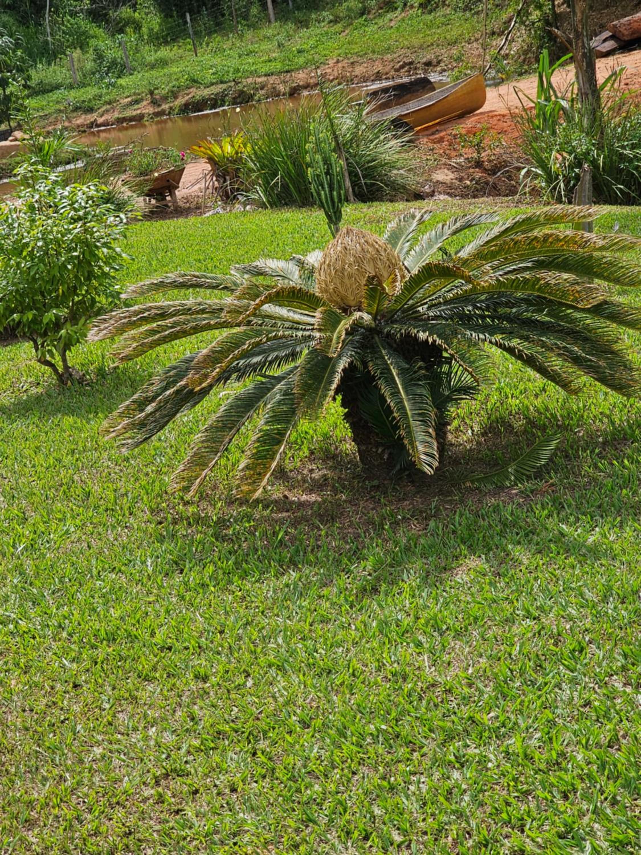 Sitio Reis Membeca