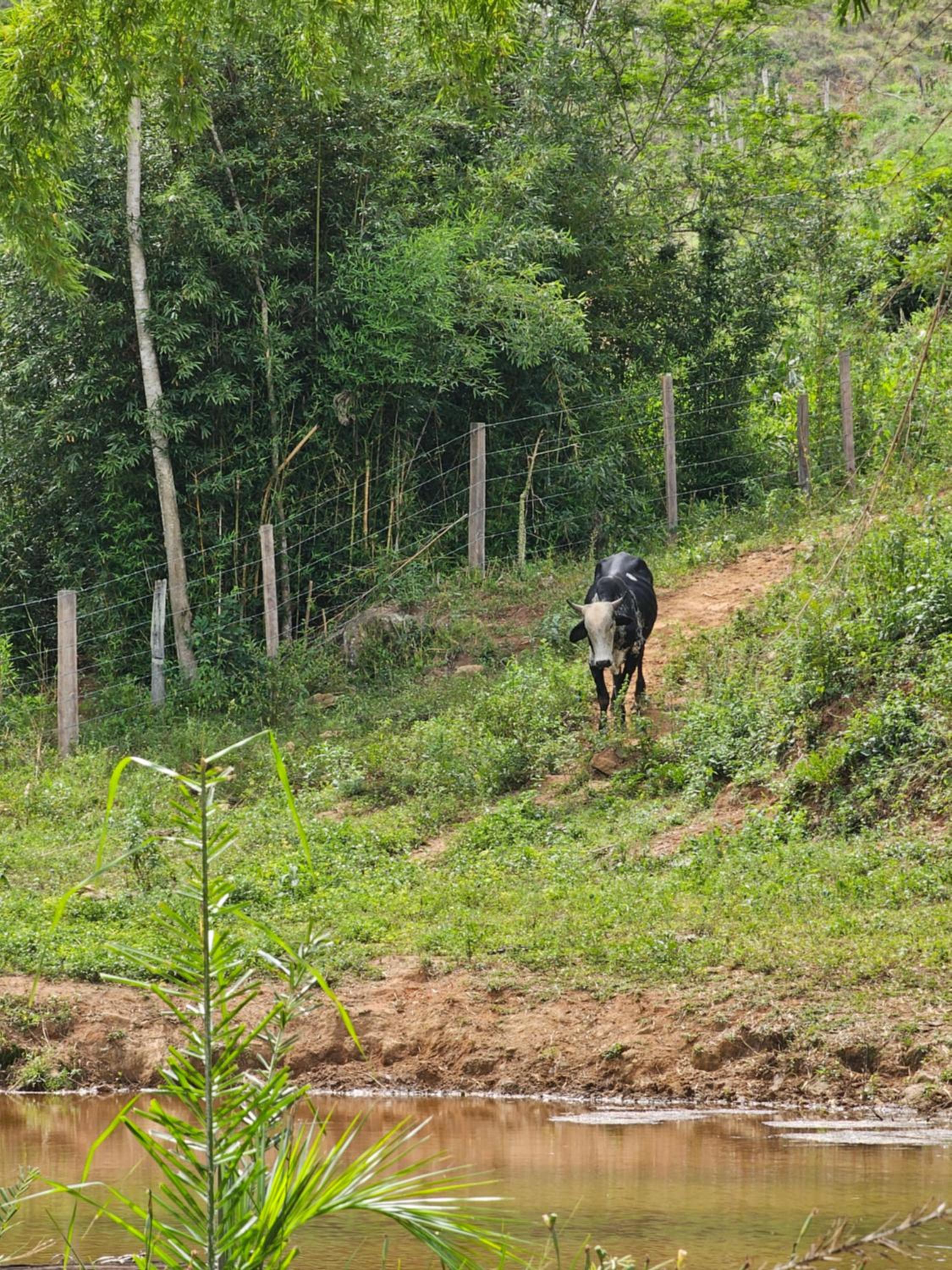Sitio Reis Membeca