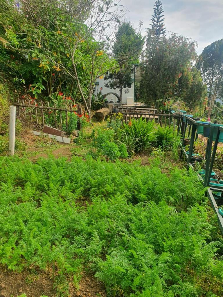 Photo 19