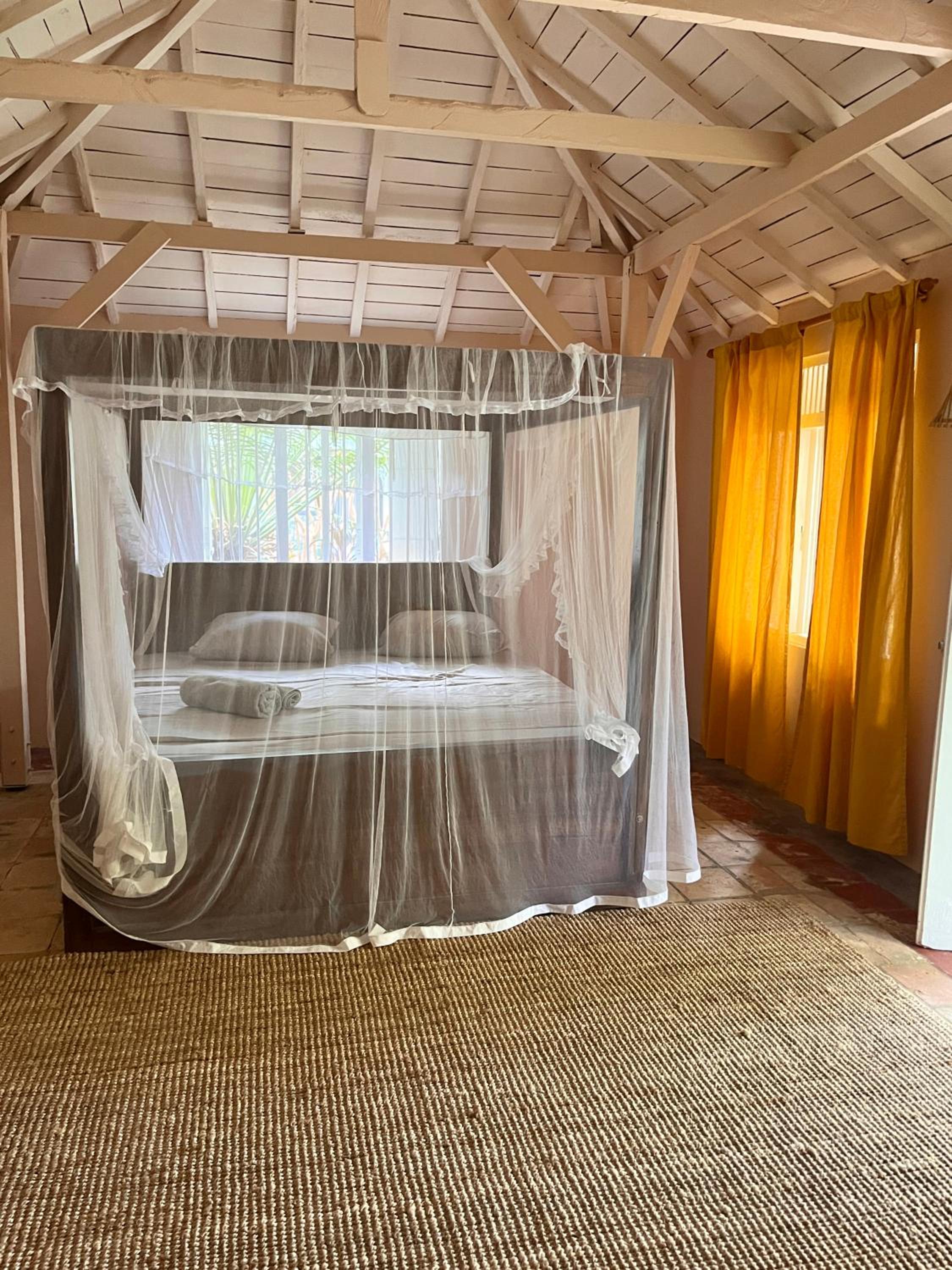 Cabana Capybara