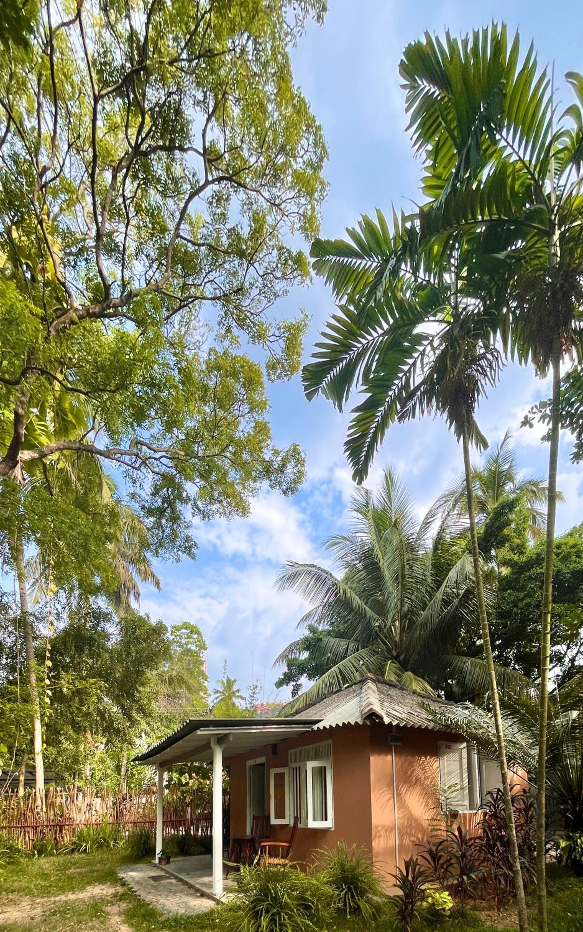 Cabana Capybara