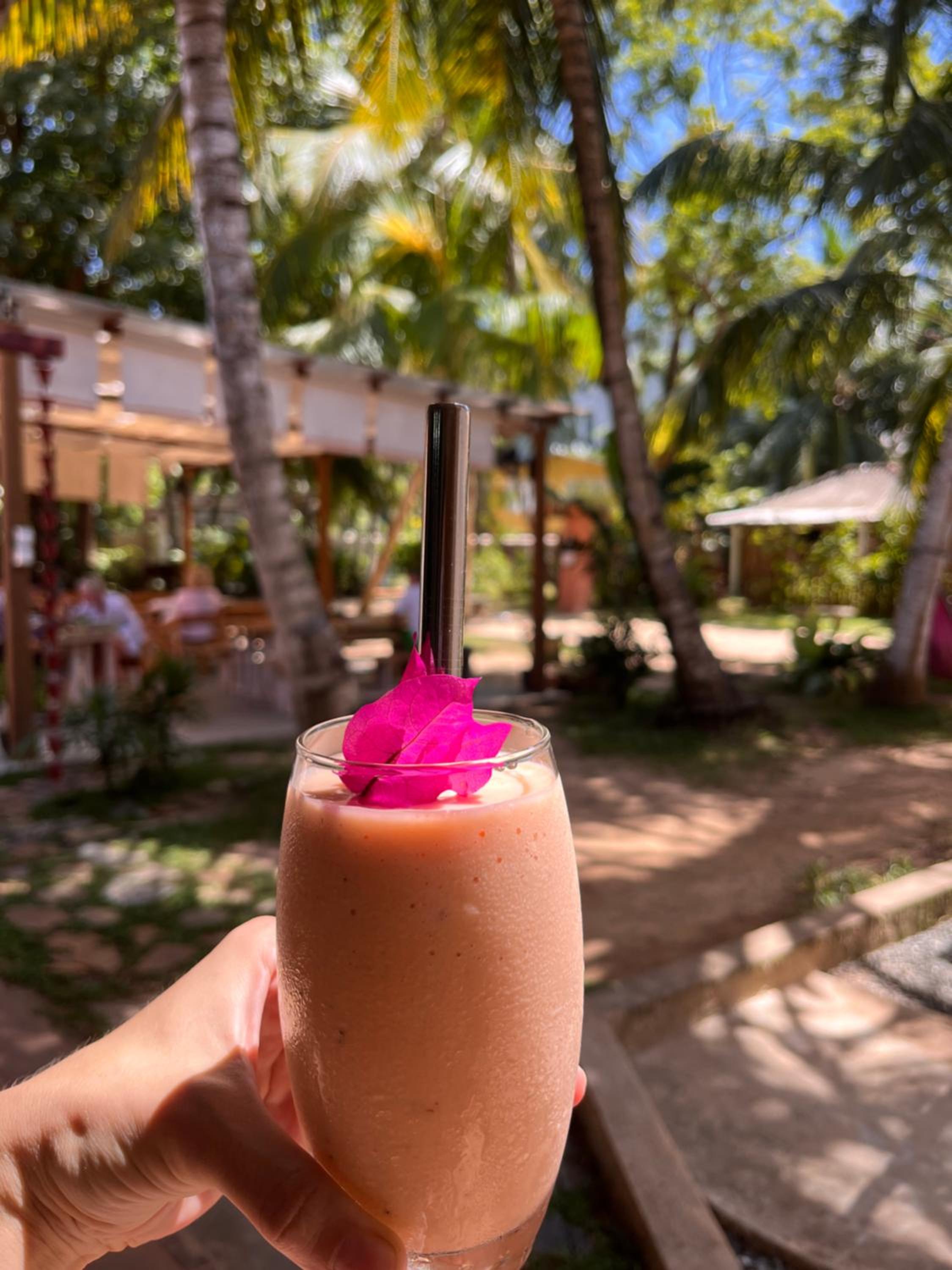 Cabana Capybara