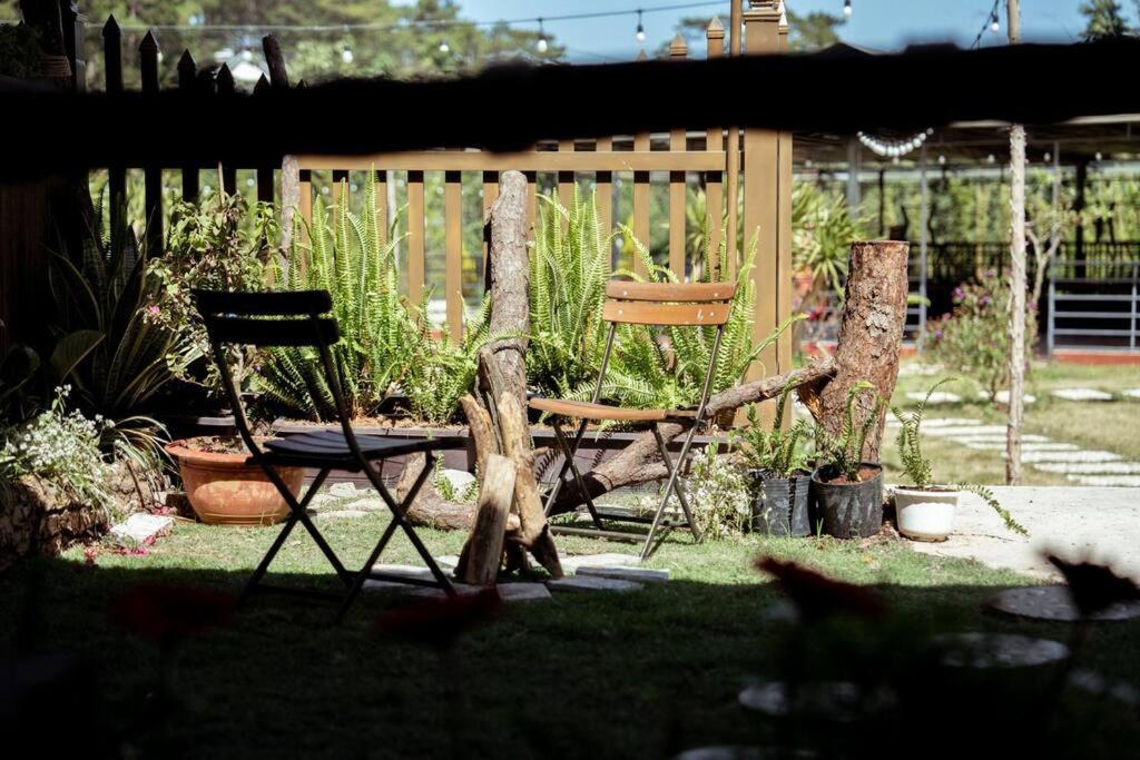 Photo 44