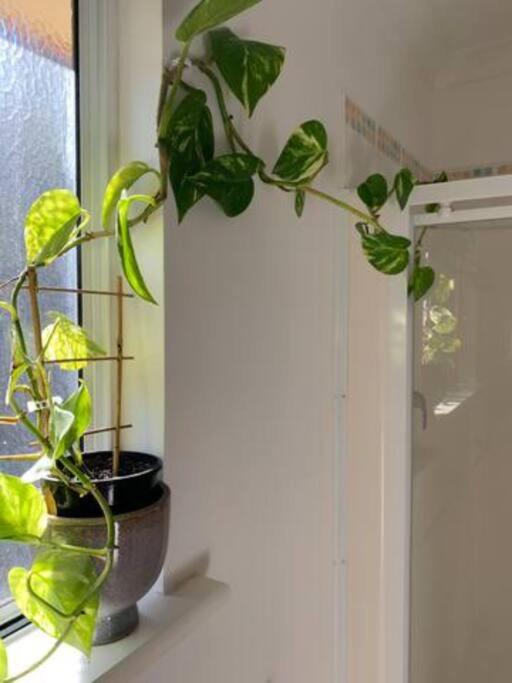 Beauchamp Beauty - Loft apartment