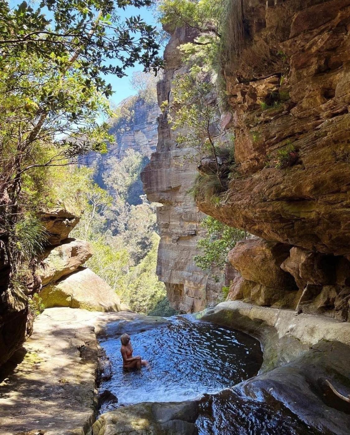 Mountain Culture Farm Stay - pet friendly