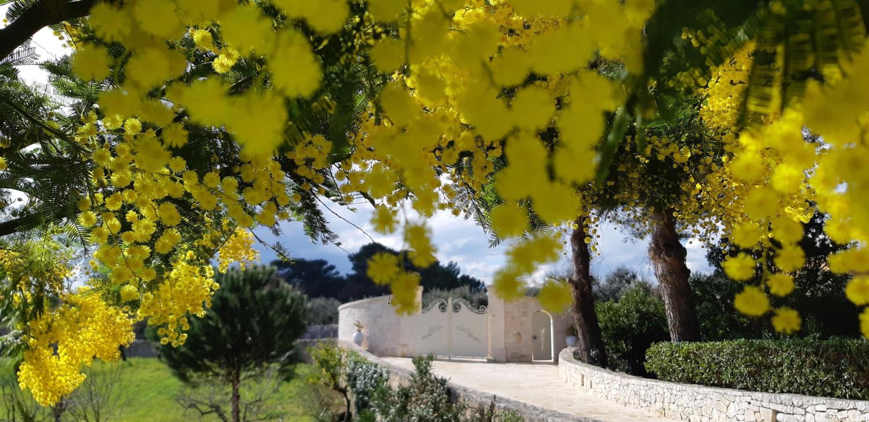 VILLA KARMEL Valle d'Itria