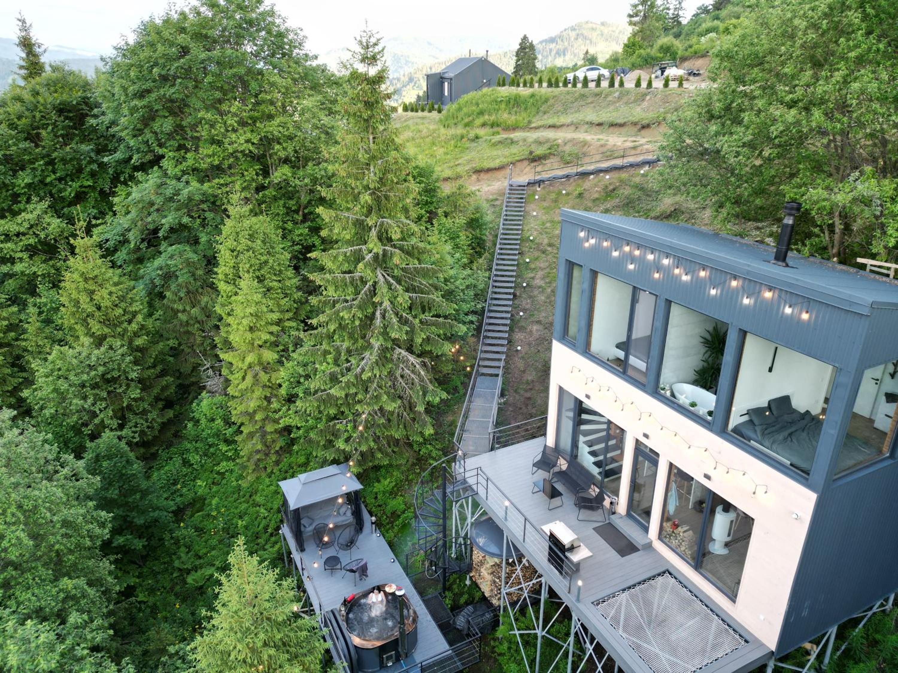 Forest Hub