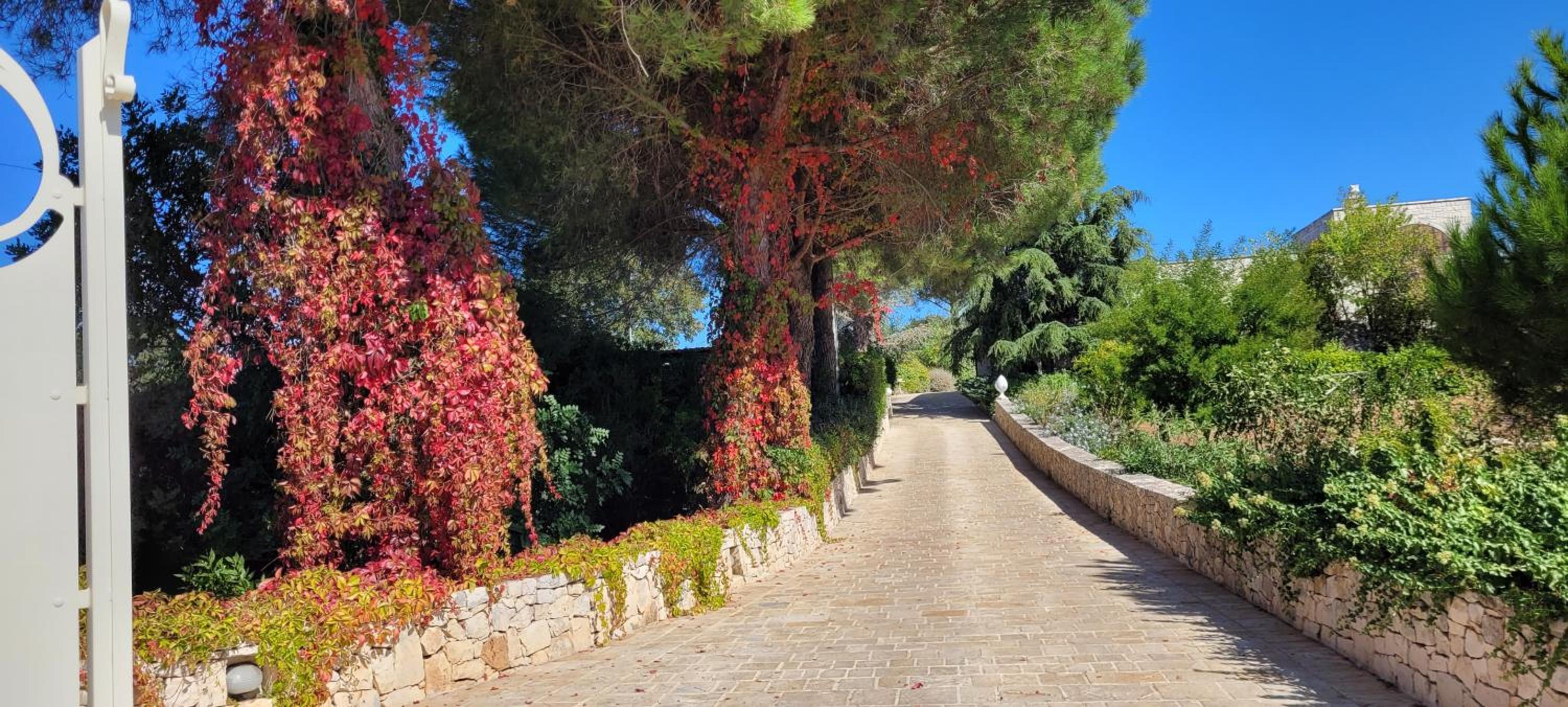 VILLA KARMEL Valle d'Itria
