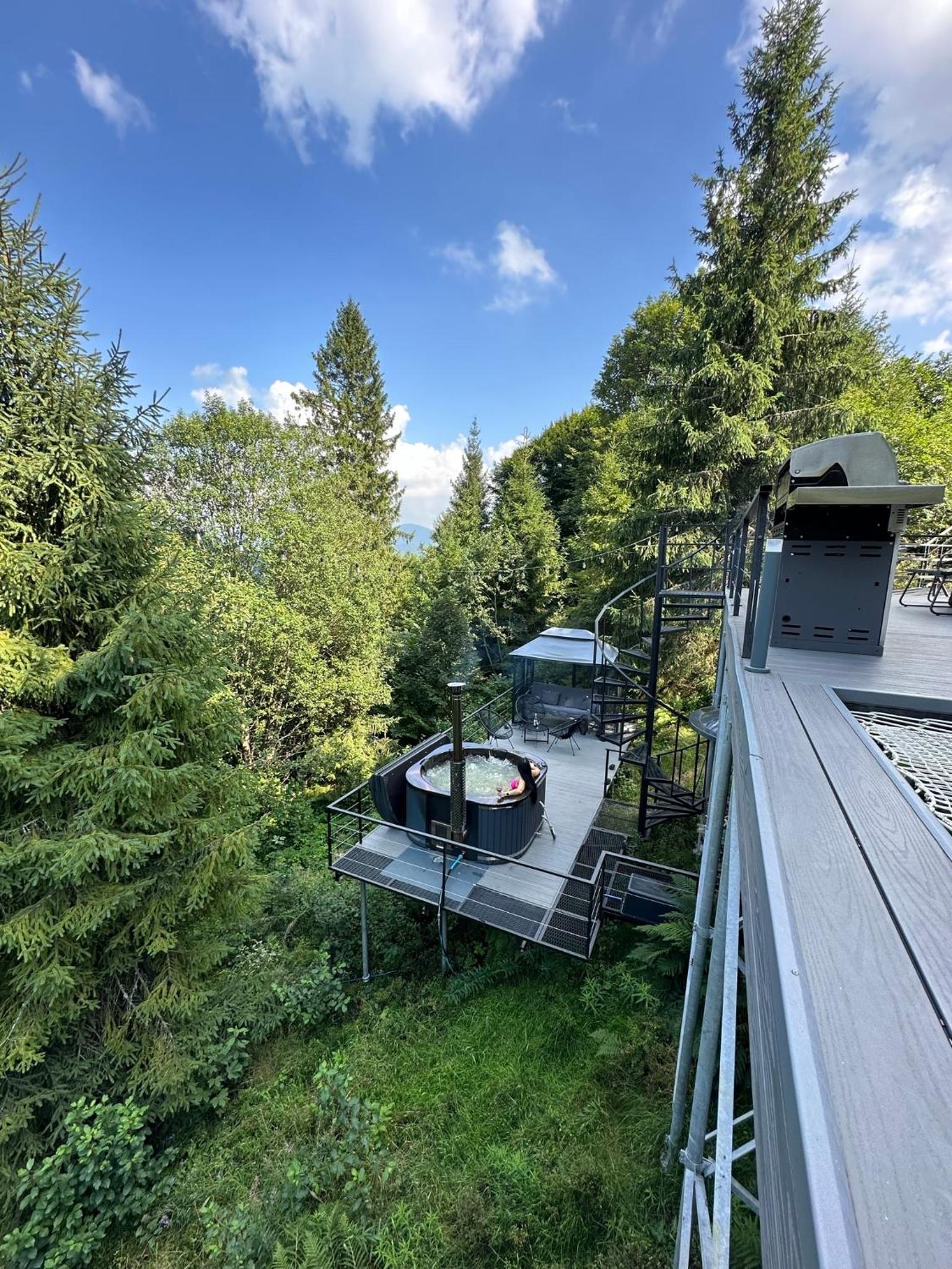 Forest Hub