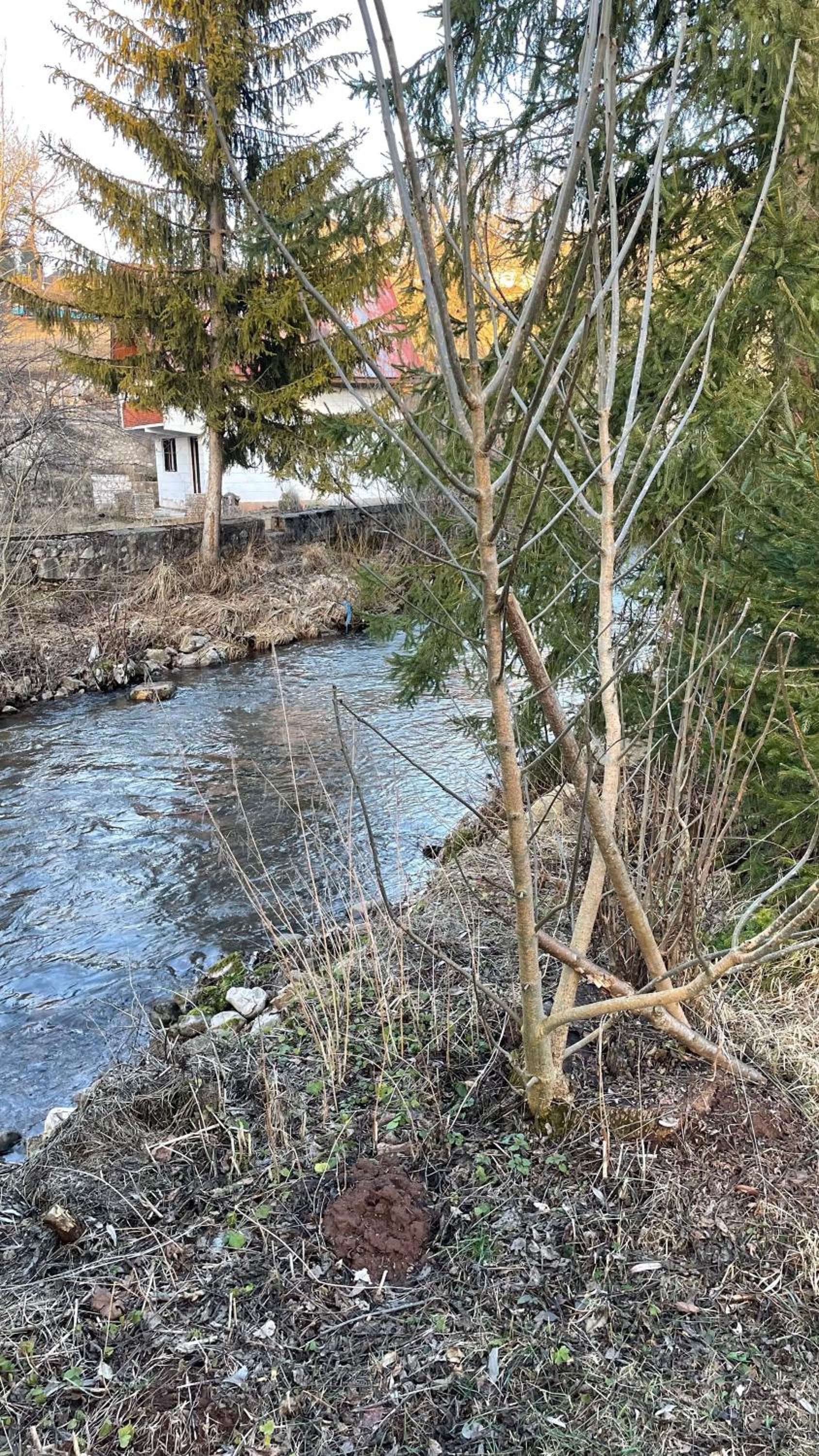 Vila Garden River Jahorina - Sarajevo