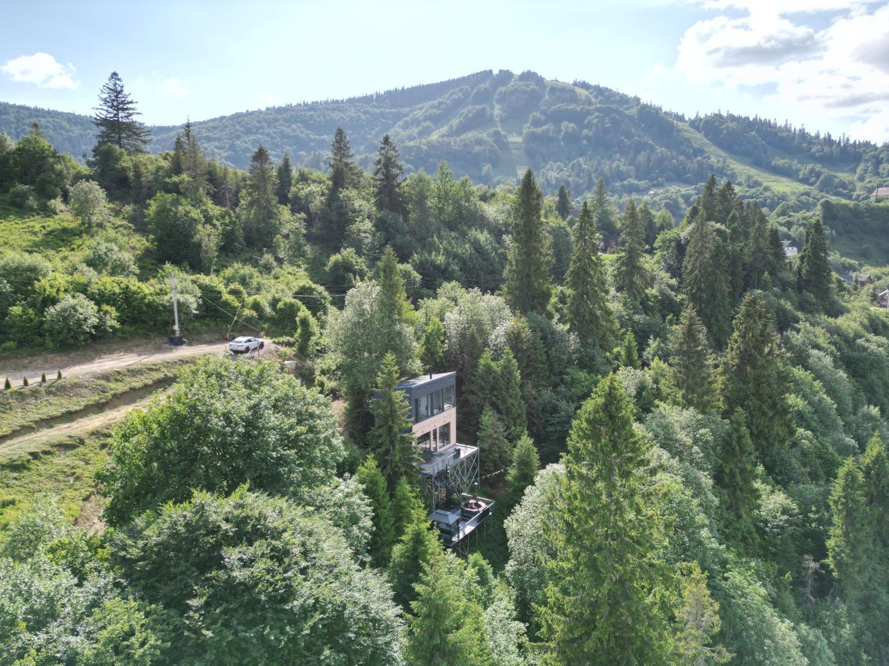 Forest Hub