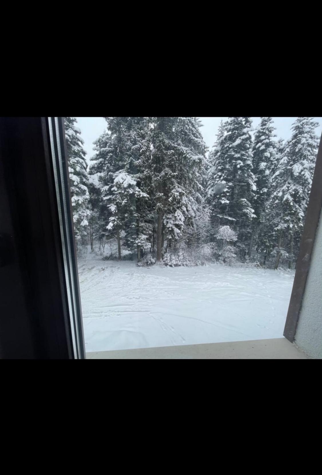 Borovets gardens Studio A12