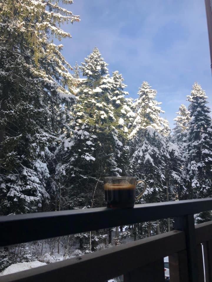 Borovets gardens Studio A12