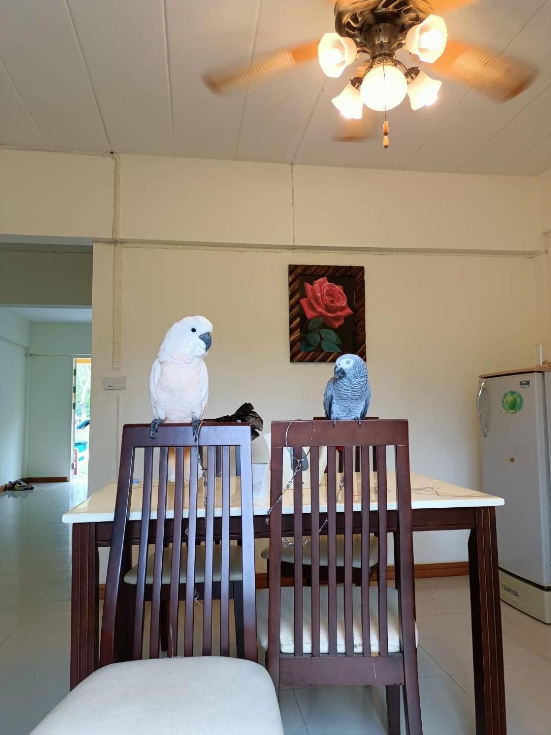 Family Resort Khao Yai