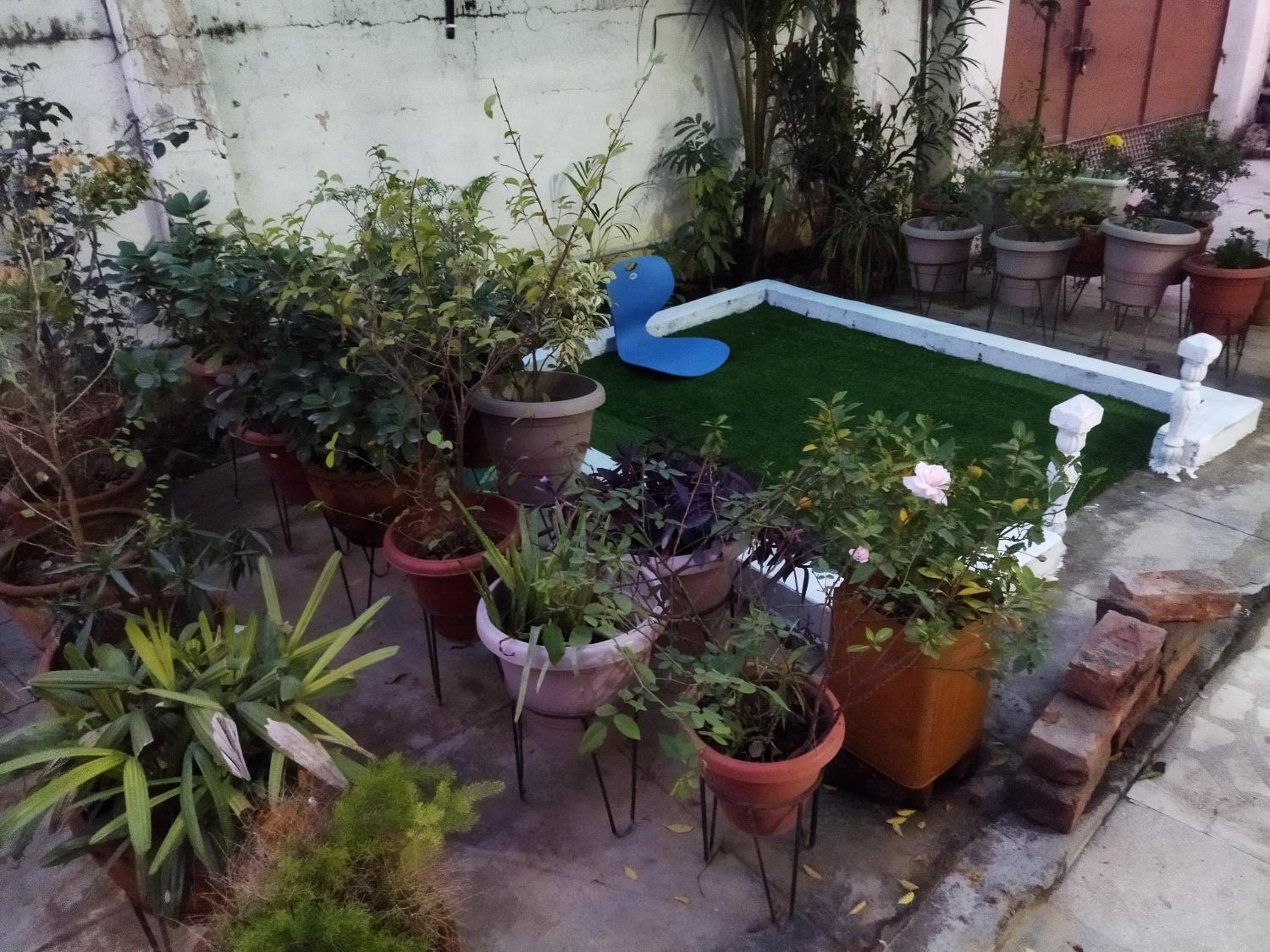 The Paradise Homestay