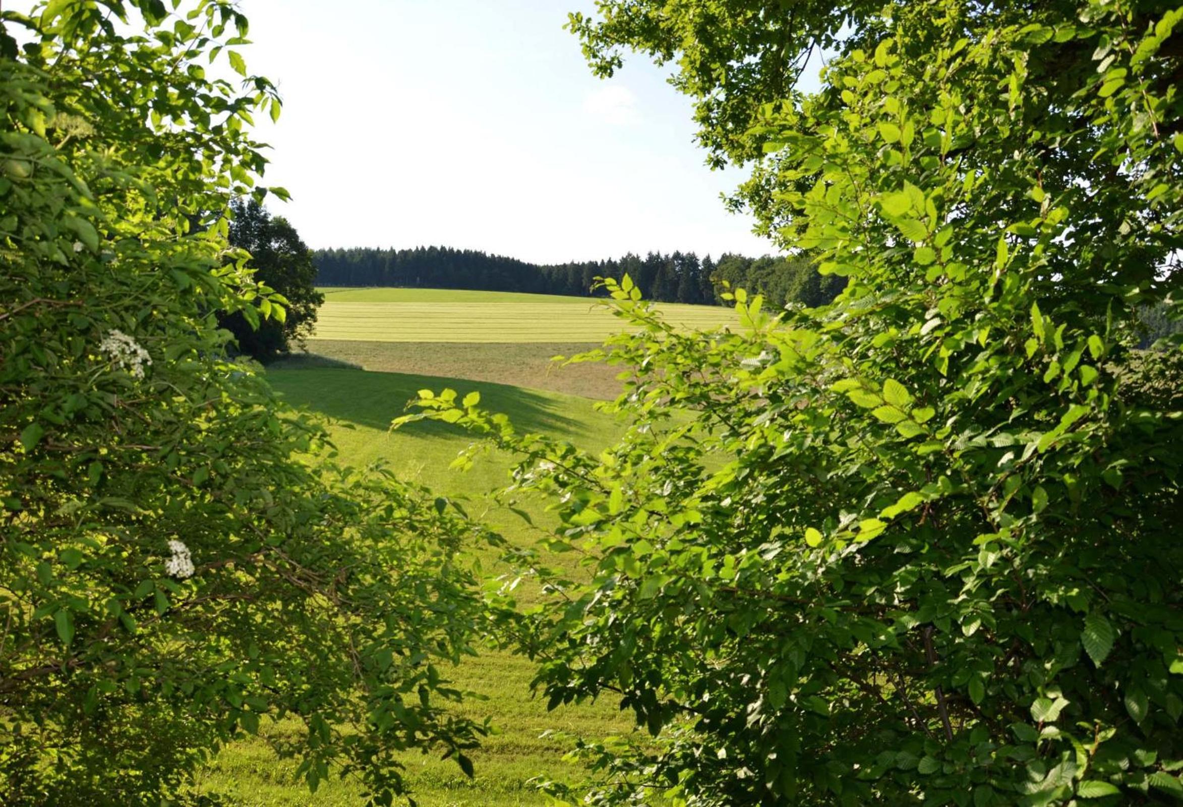 Das Ferienhaus Mondschein im Land der tausend Berge - Erholung Pur in idyllischer Alleinlage view 3