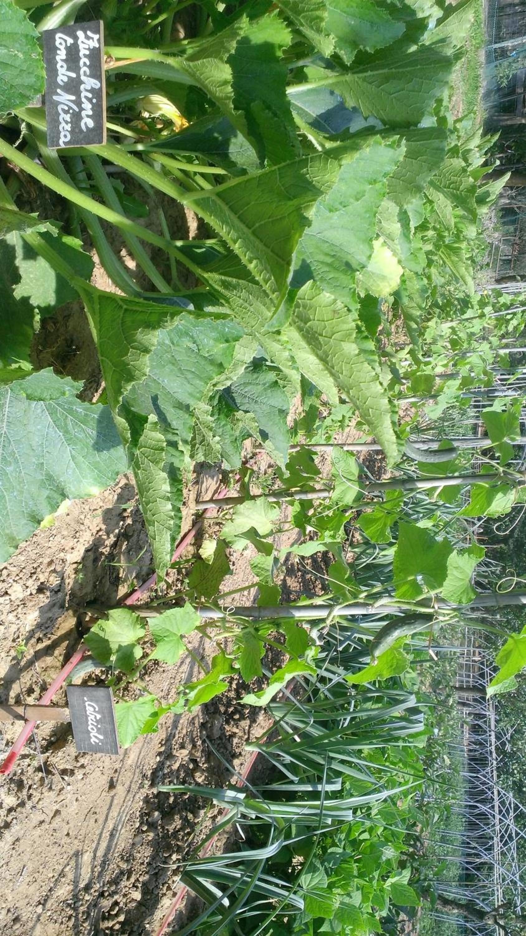 Agriturismo Cascina Knec