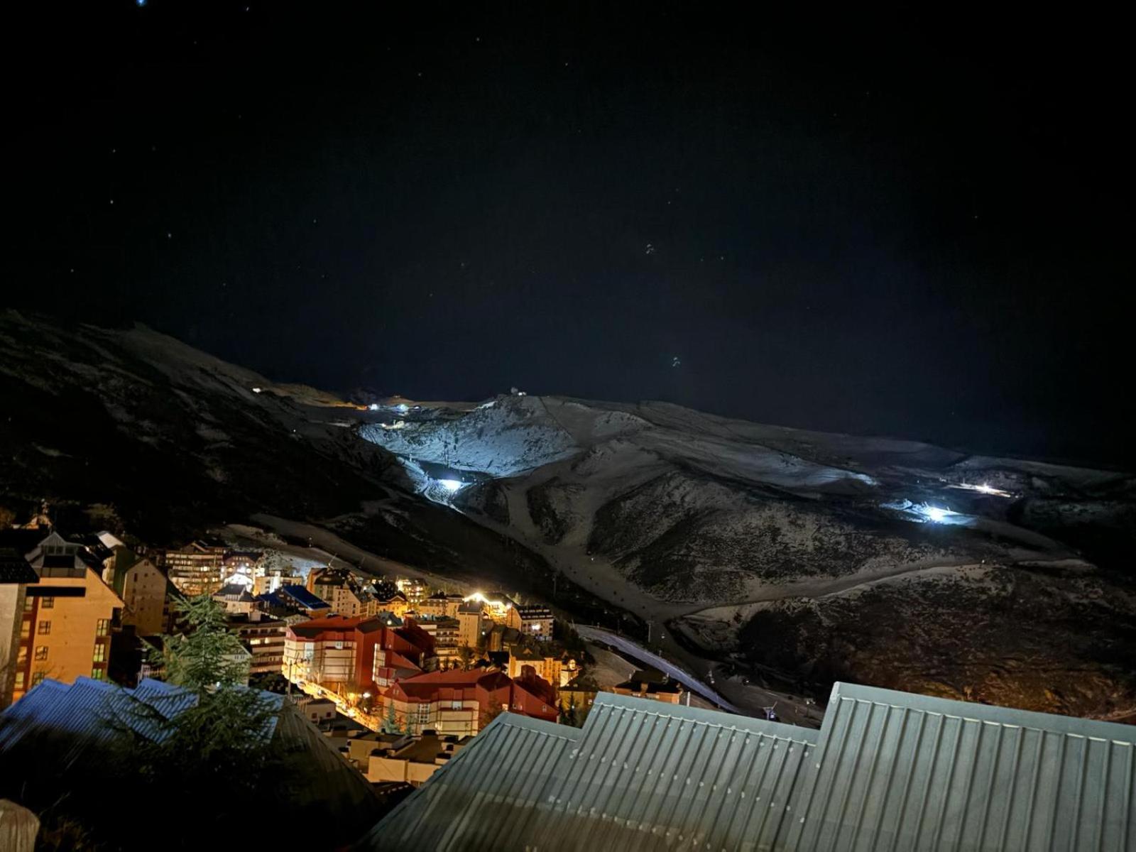 Biznaga Nevada