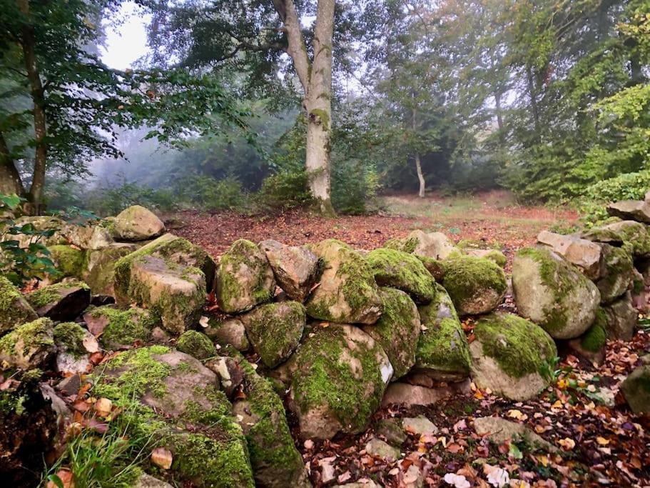 Sagolikt rymligt hus i Rörum, Österlen - natur & havsutsikt för familjer & sällskap view 4