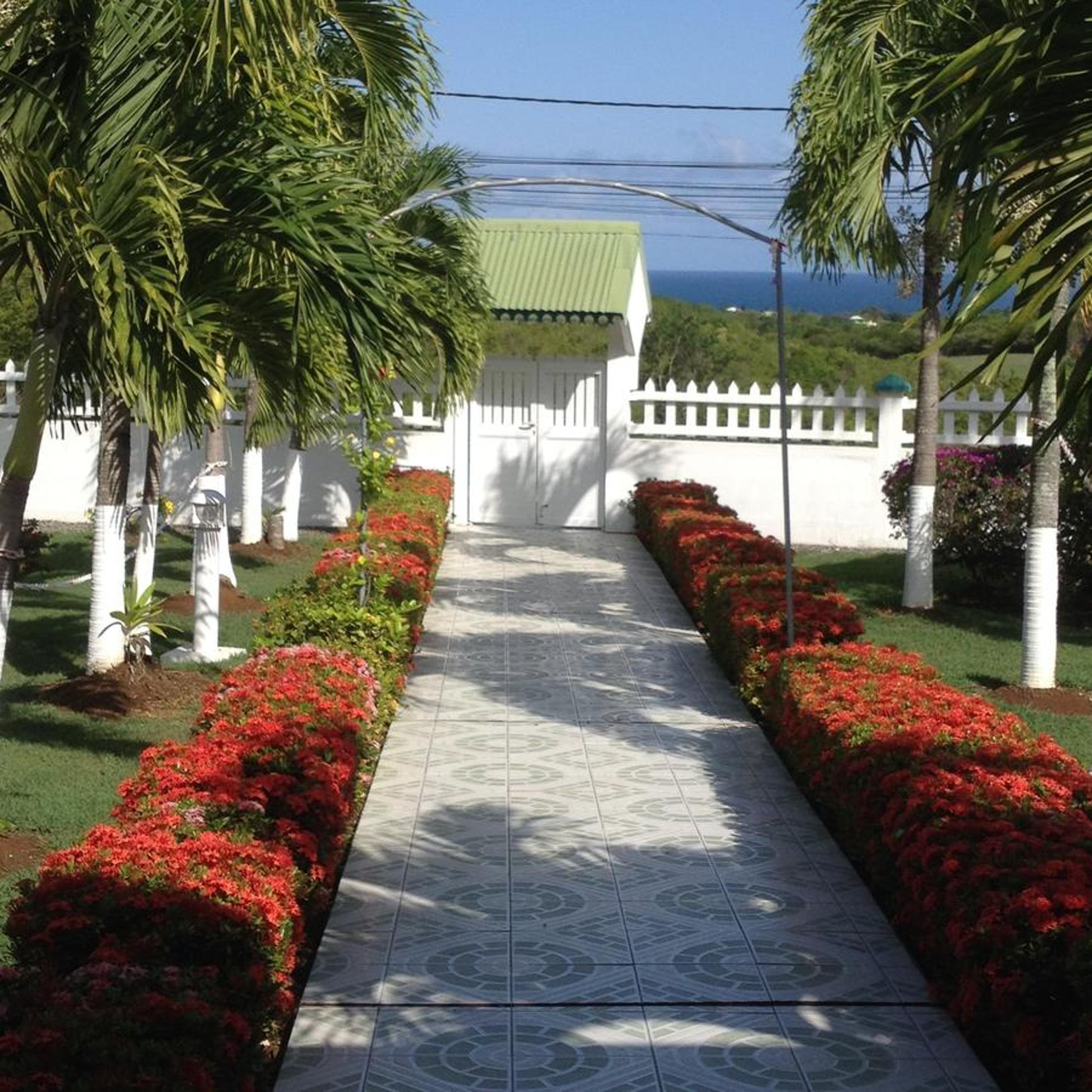 Photo 7