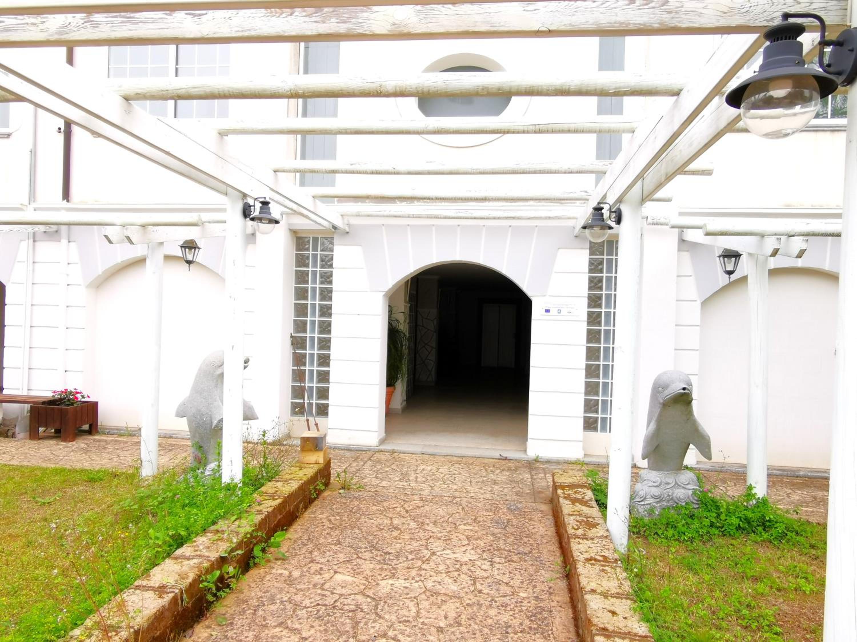 Photo 40