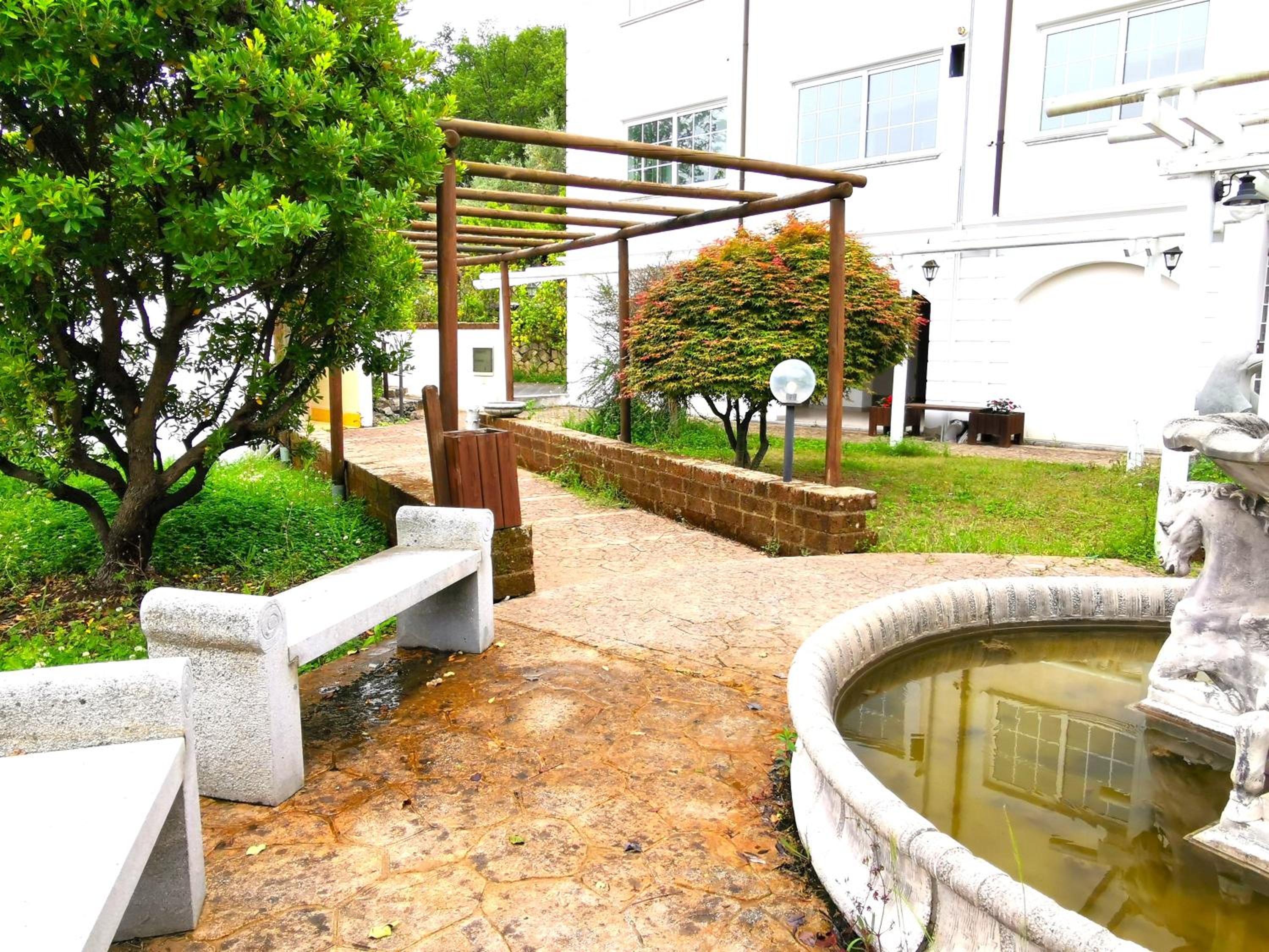Photo 46