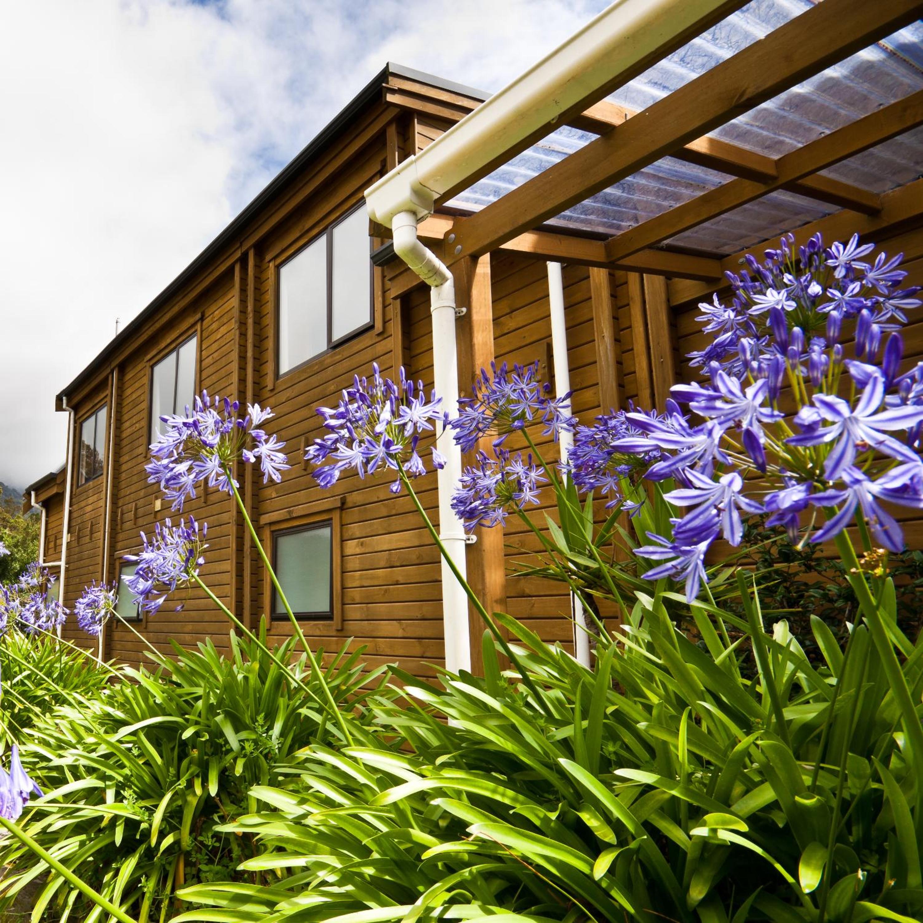Fox Glacier Lodge